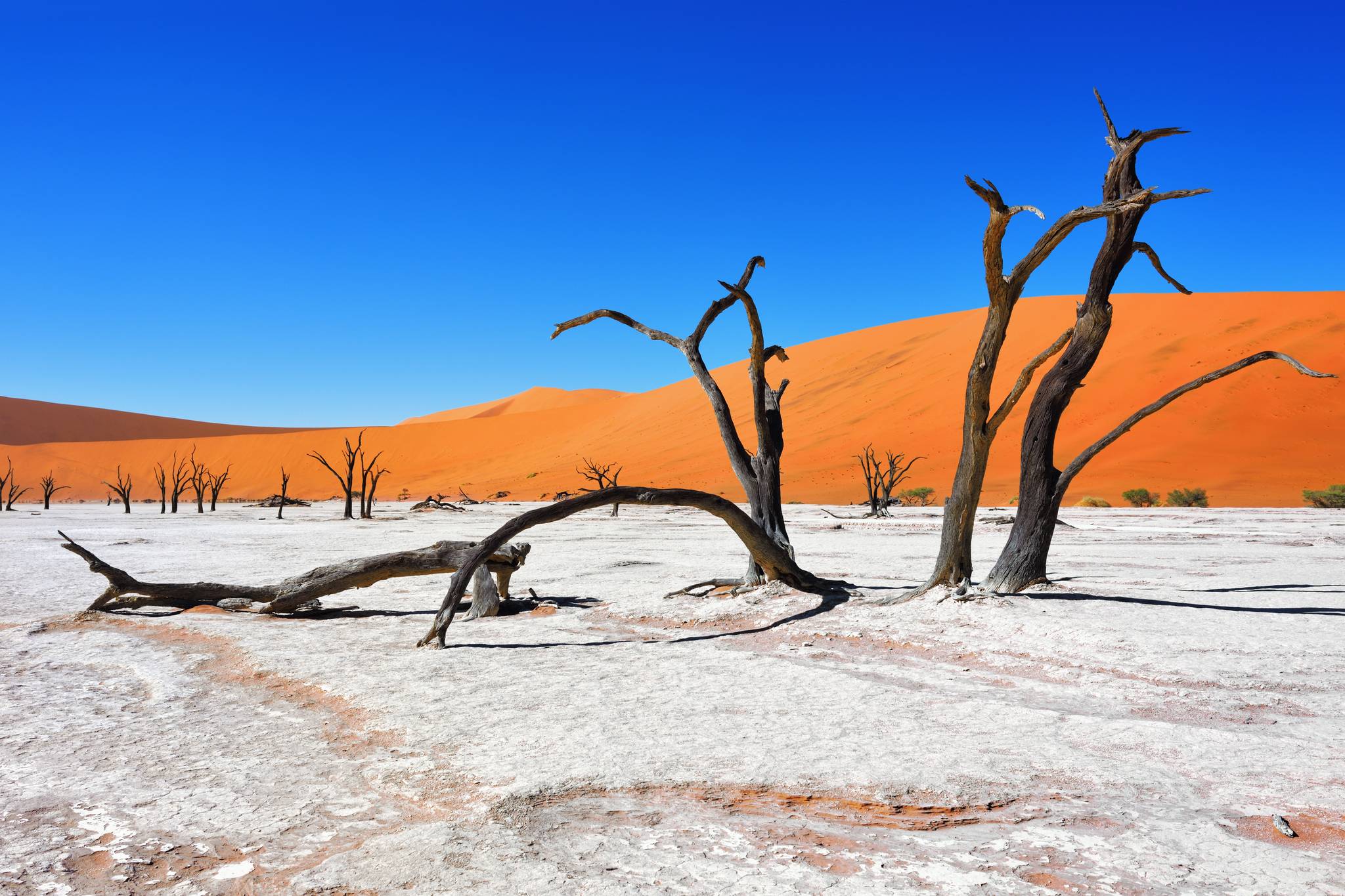 dead vlei