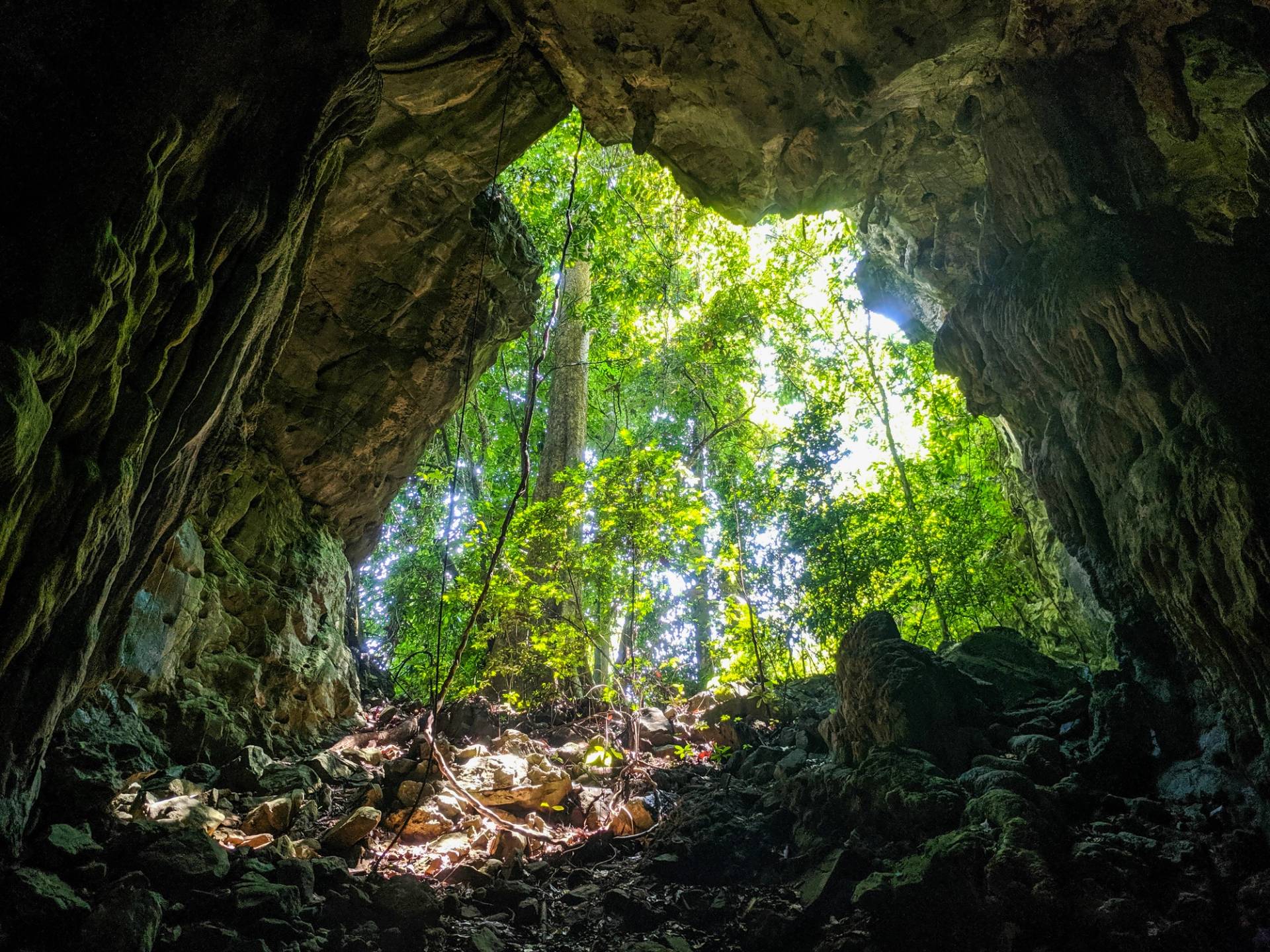 cave in the Ulu Muda forest