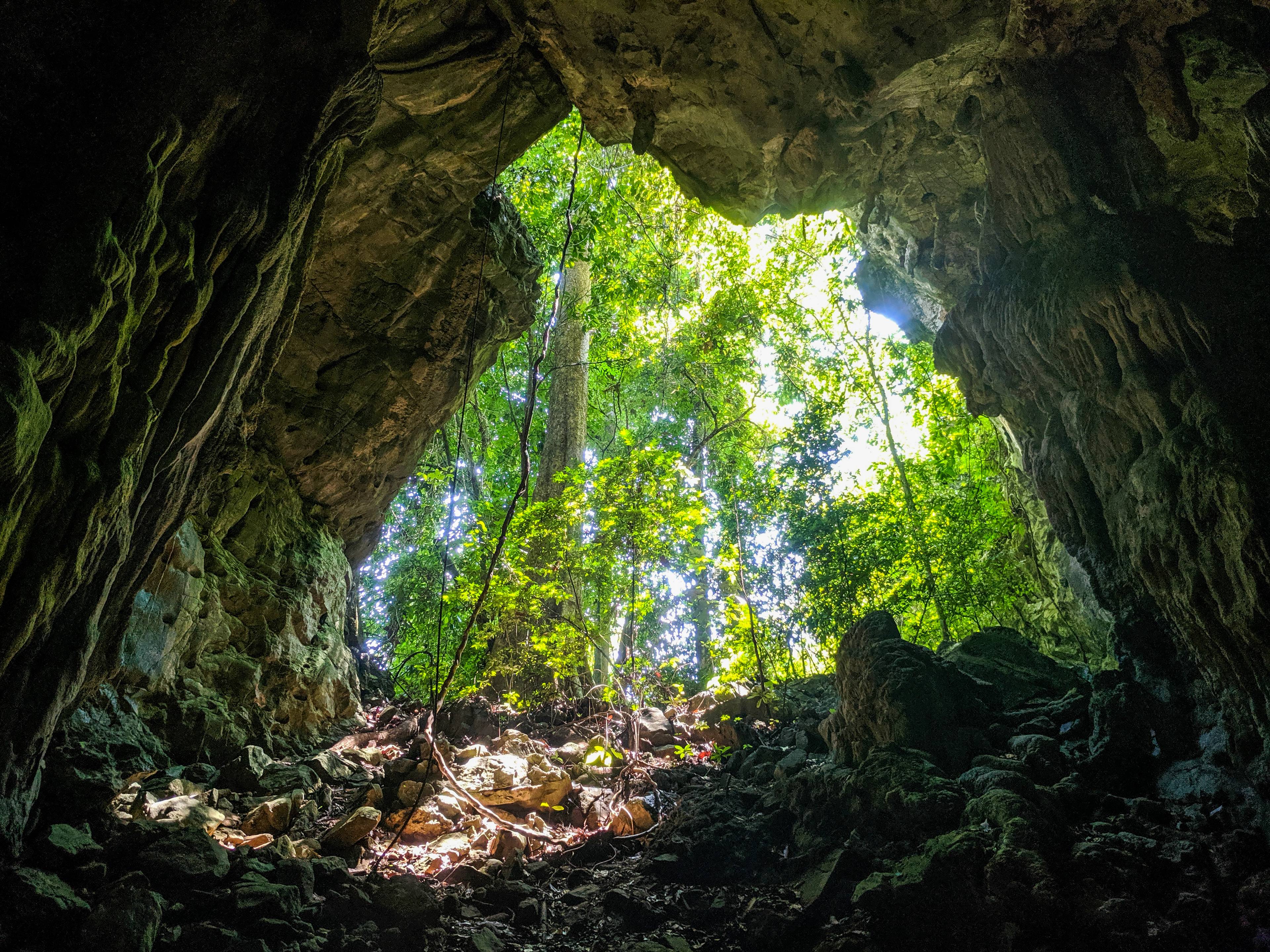 grotta nella foresta di ulu muda