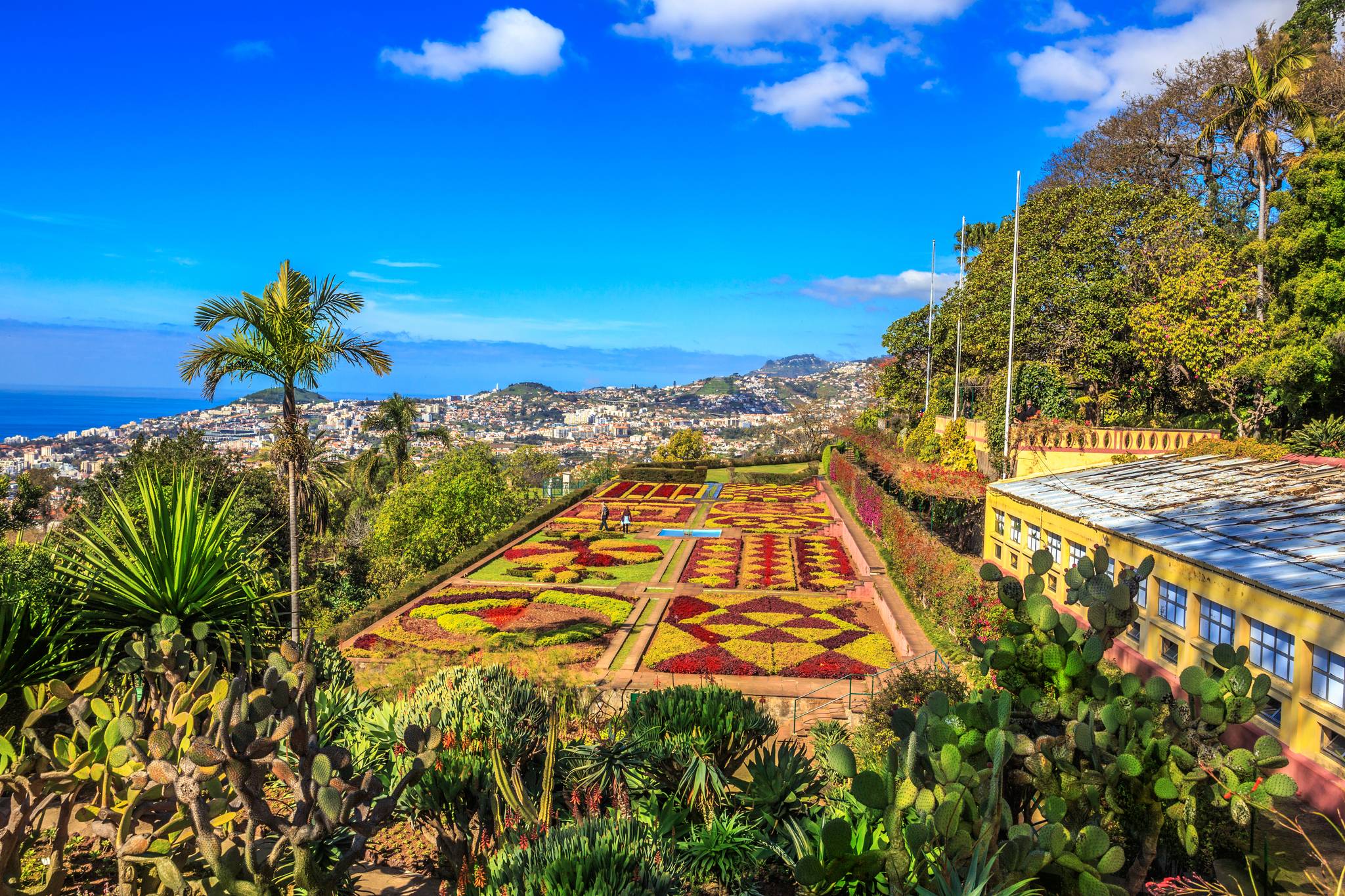 funchal madeira