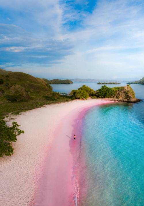 spiaggia rosa di budelli