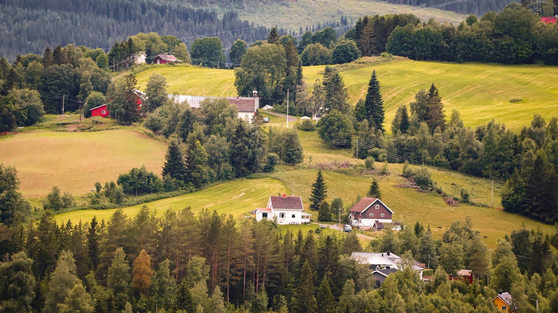innlandet