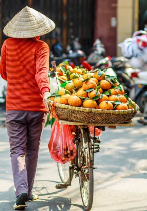 local in ho chi minh