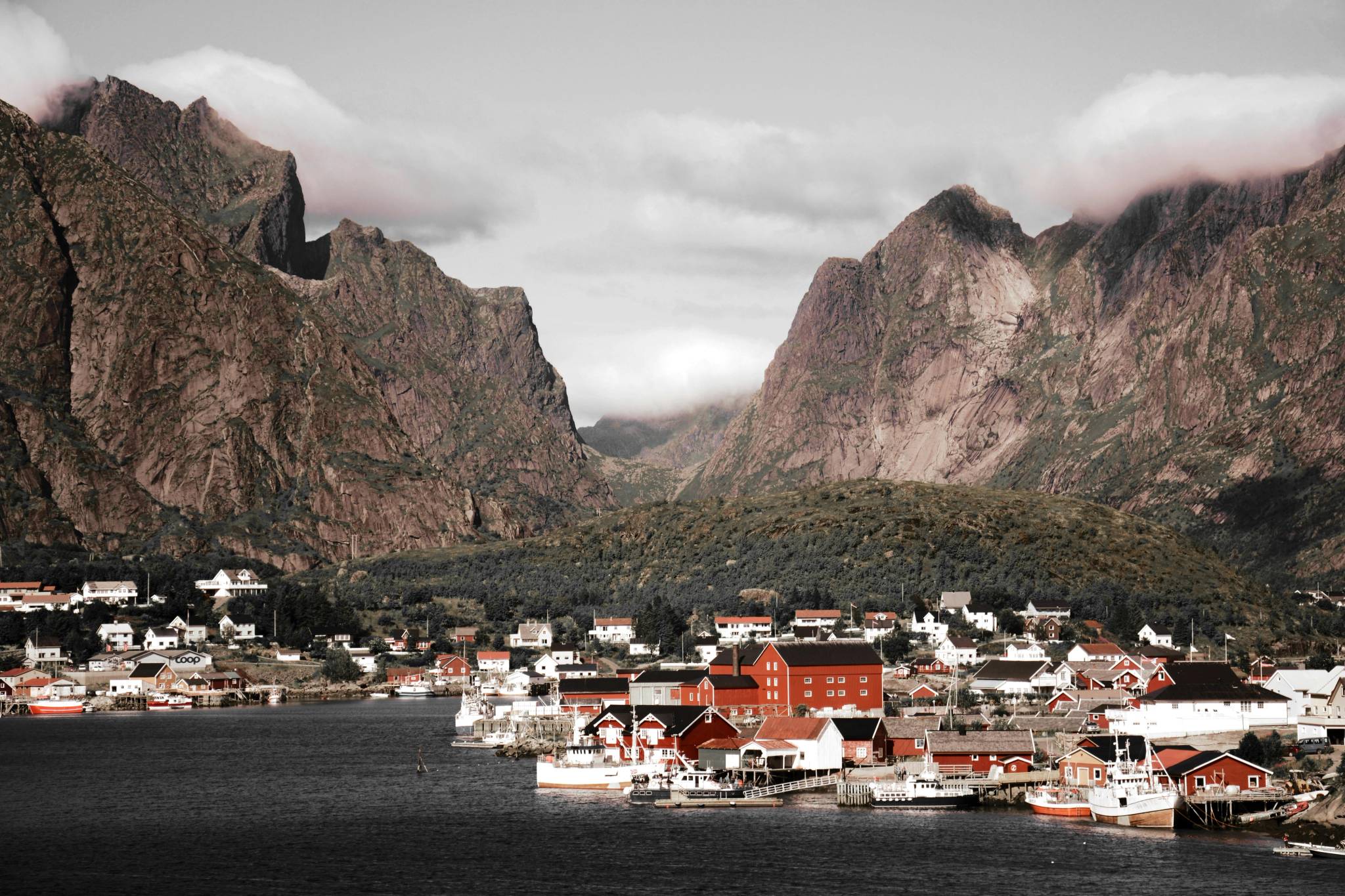 reine