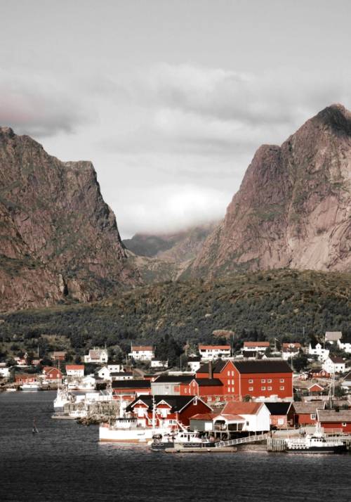 reine