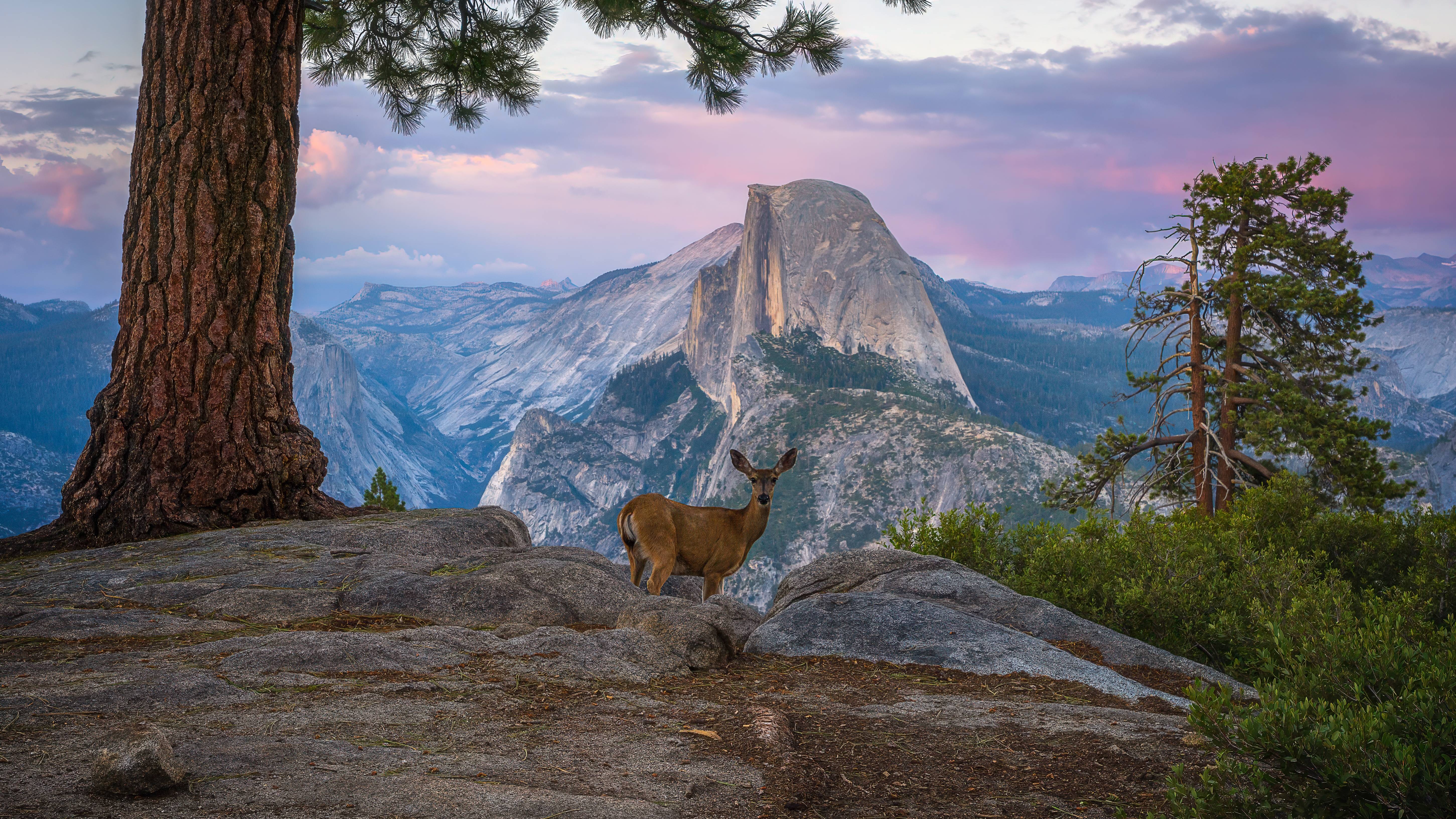 yosemite national park