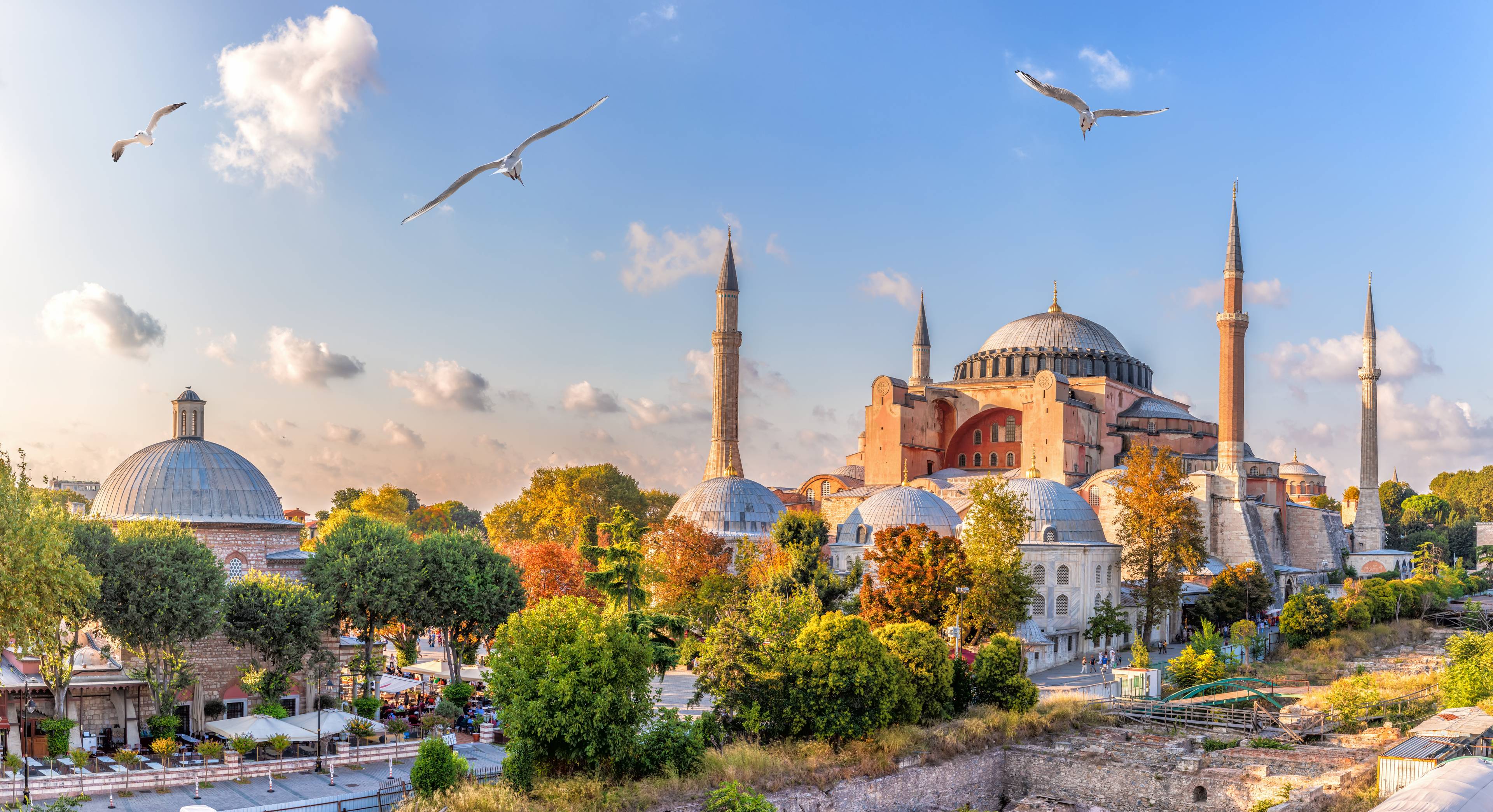 moschea di istanbul al tramonto con gabbiani