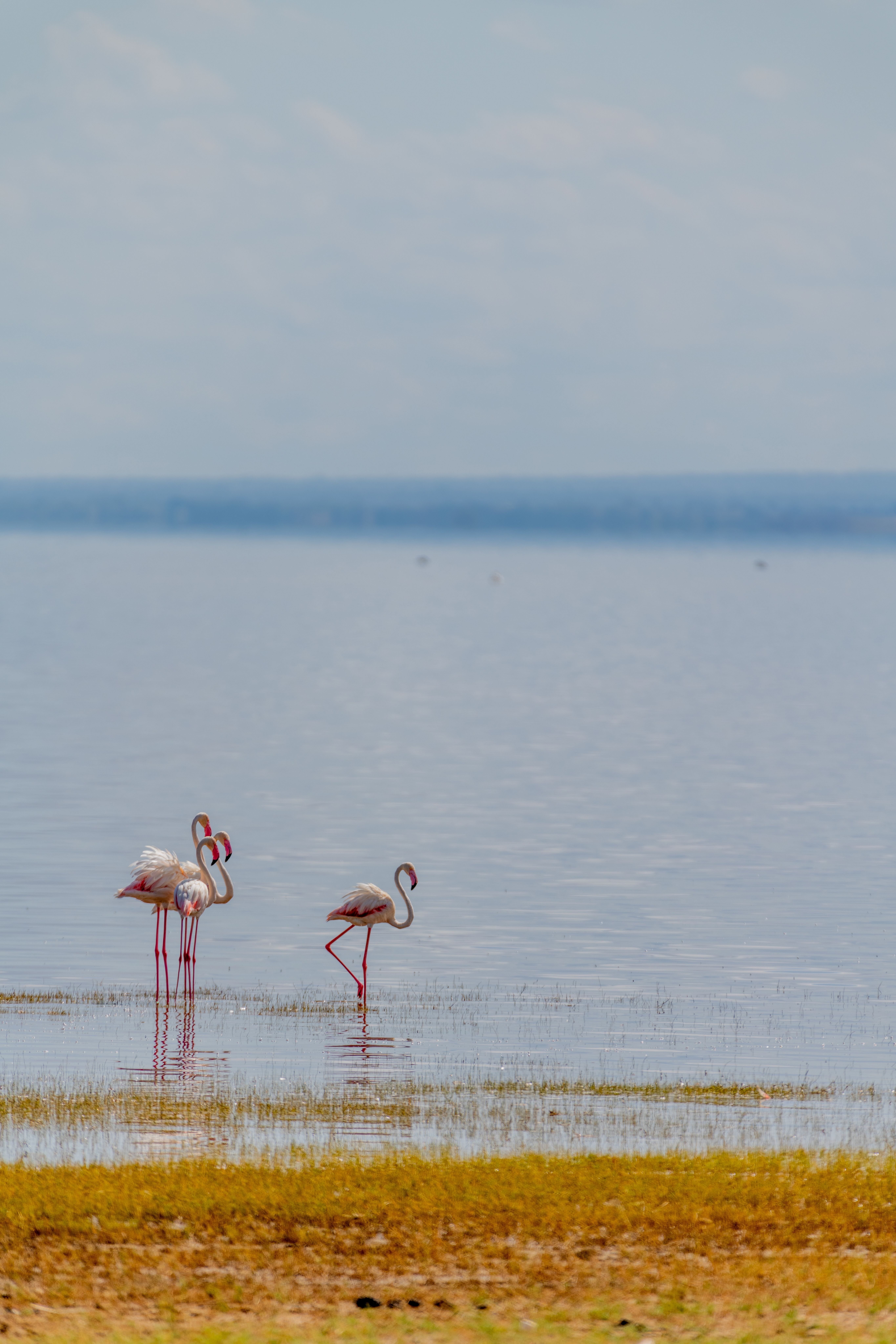 lake manyara