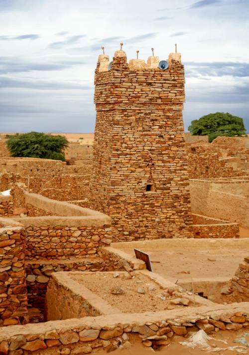 chinguetti biblioteche del deserto
