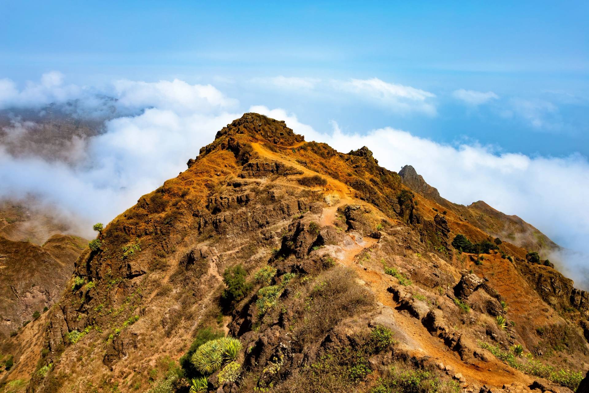 pico da cruz