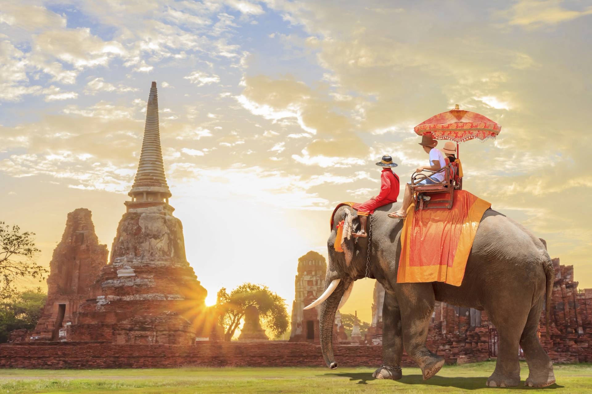 elefante a siem reap