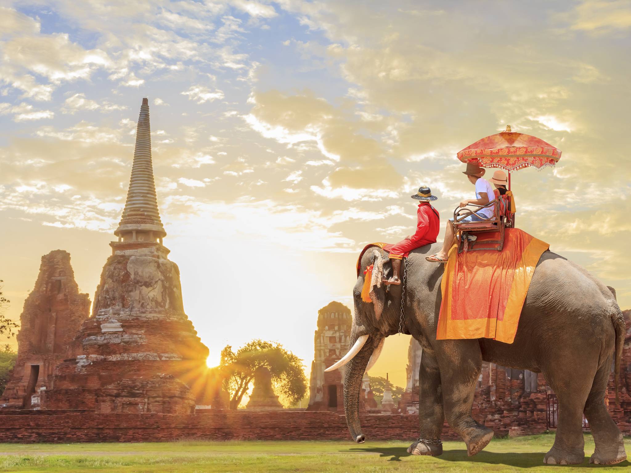 Tour Cambogia surprise cover
