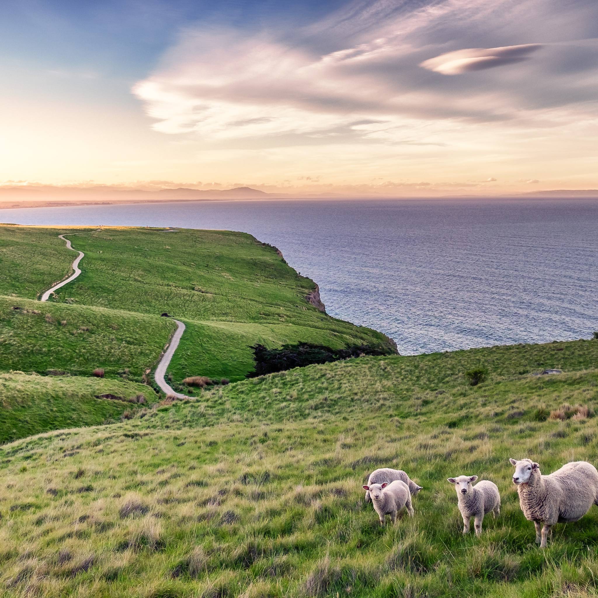 Tour della Nuova Zelanda