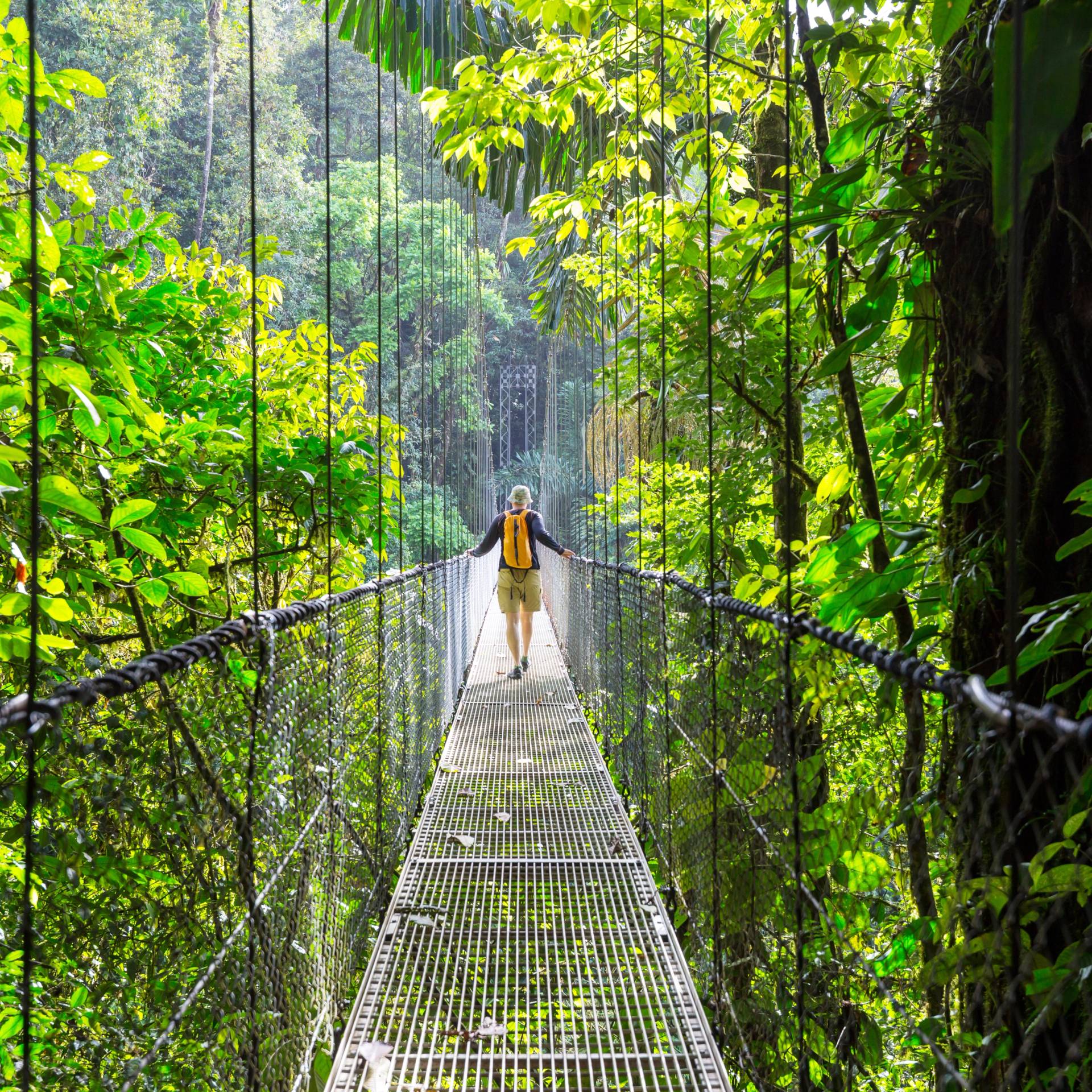 Tour in Costa Rica