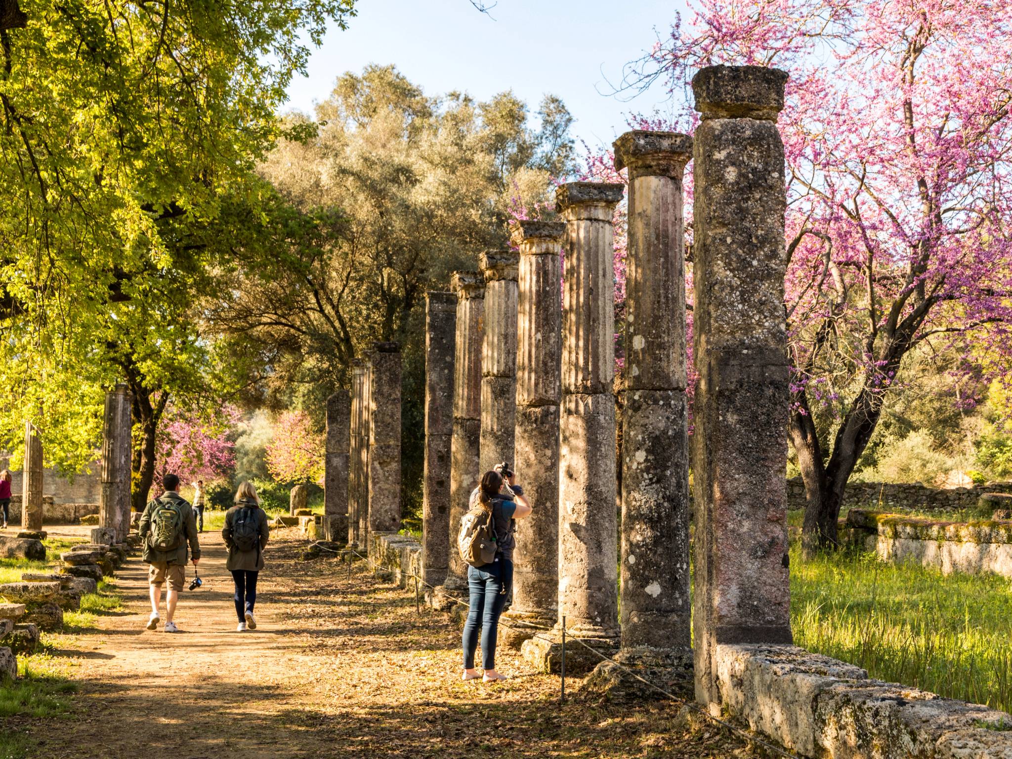 Tour della Grecia classica cover