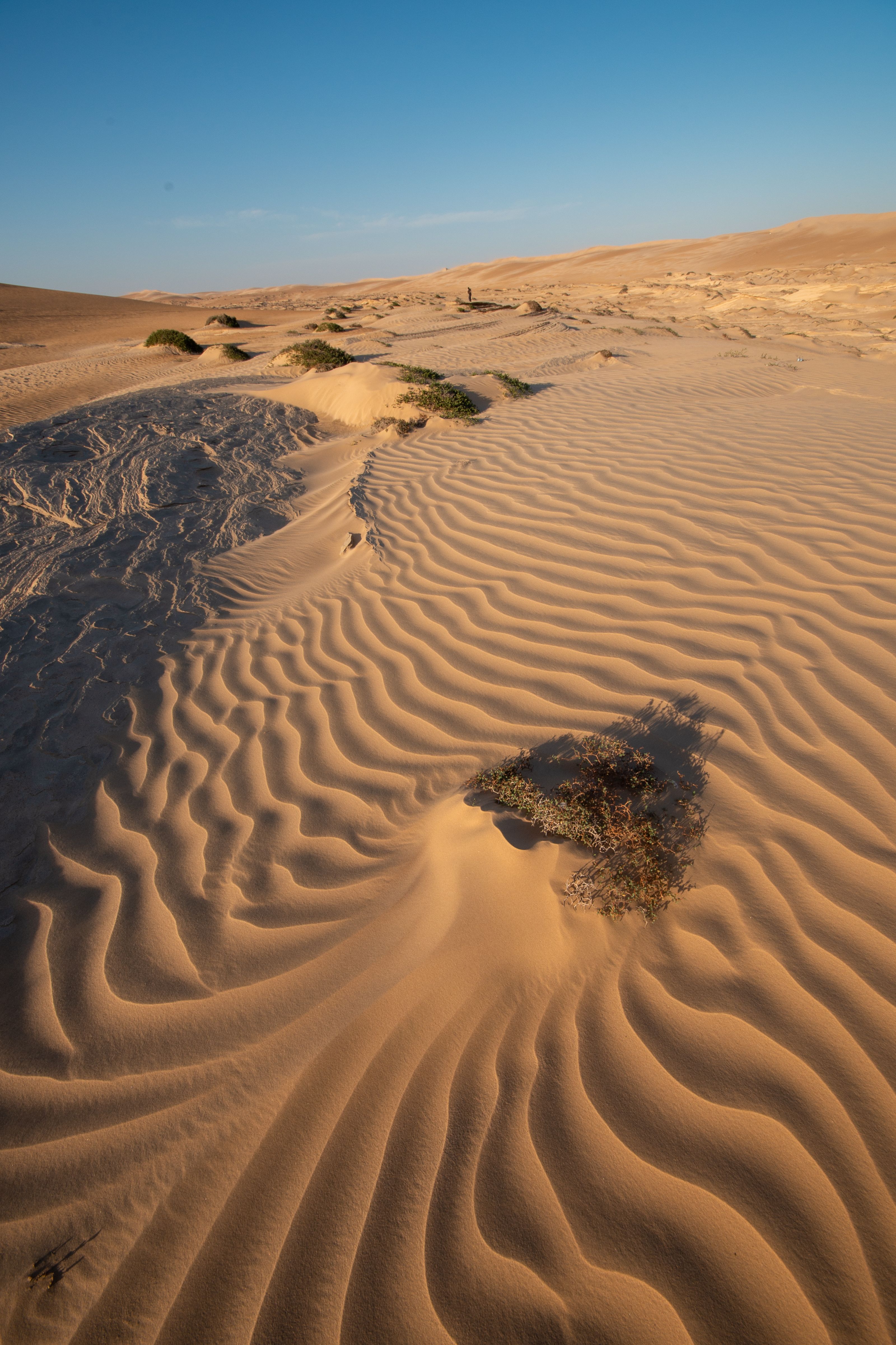 deserto oman