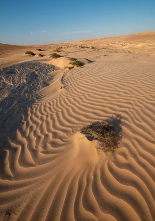 deserto oman