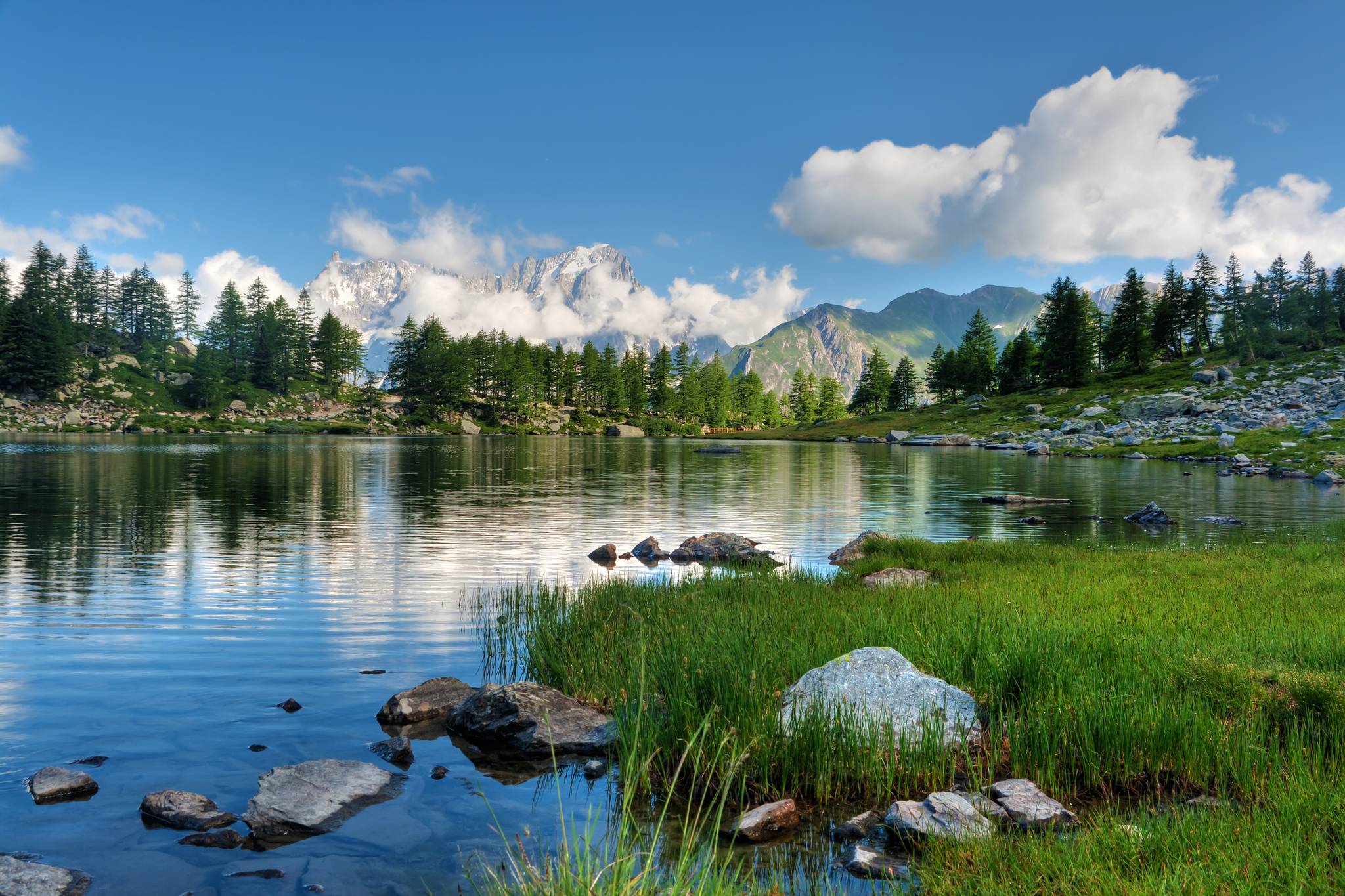 bosco di la thuile in valle d aosta