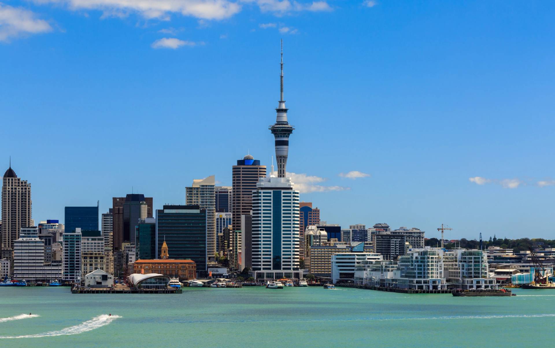 auckland skyline