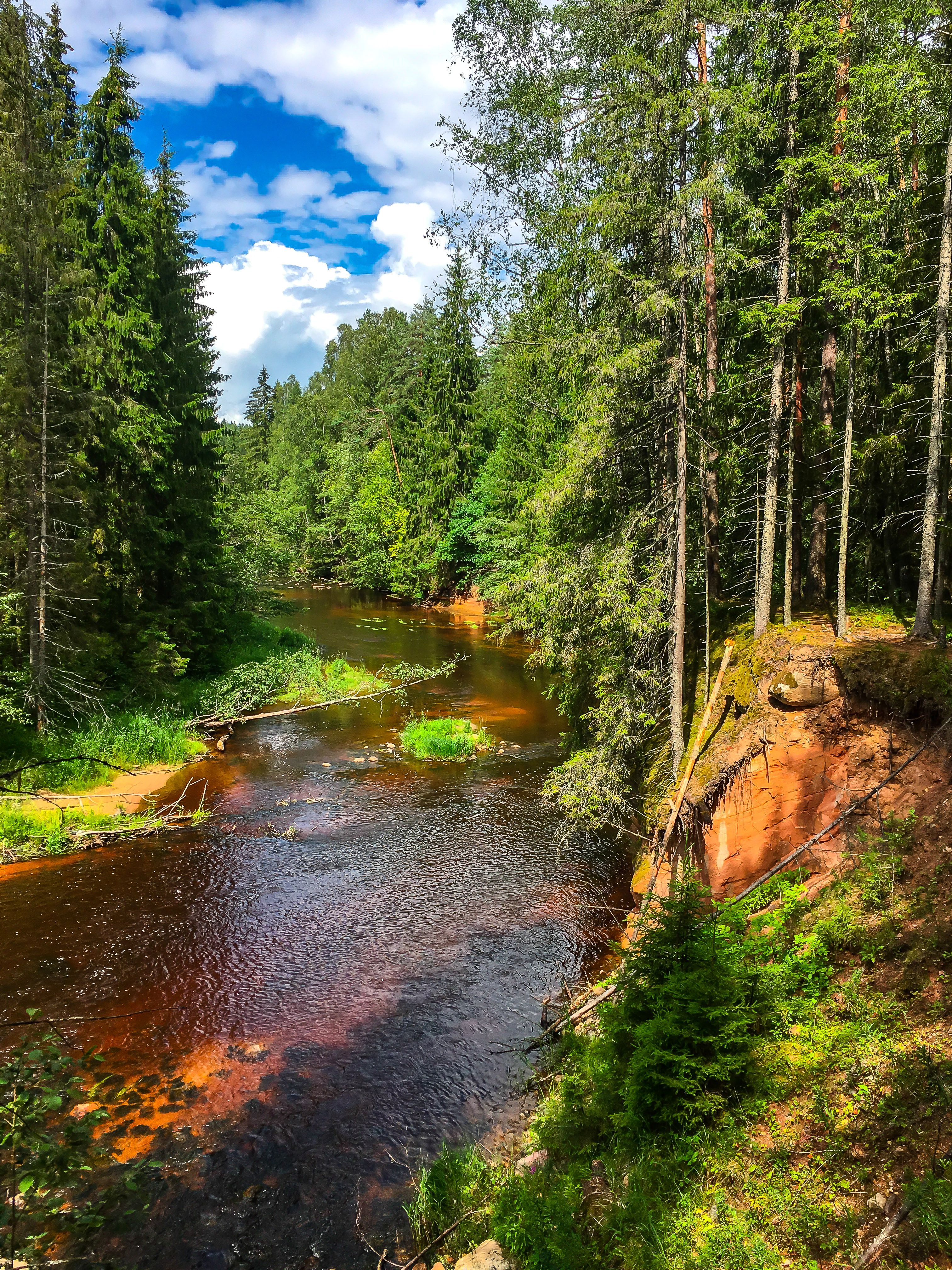 parco nazionale di gauja