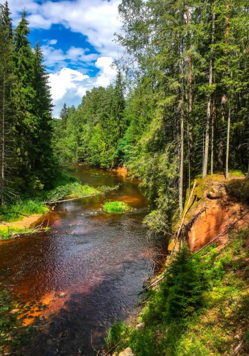 parco nazionale di gauja