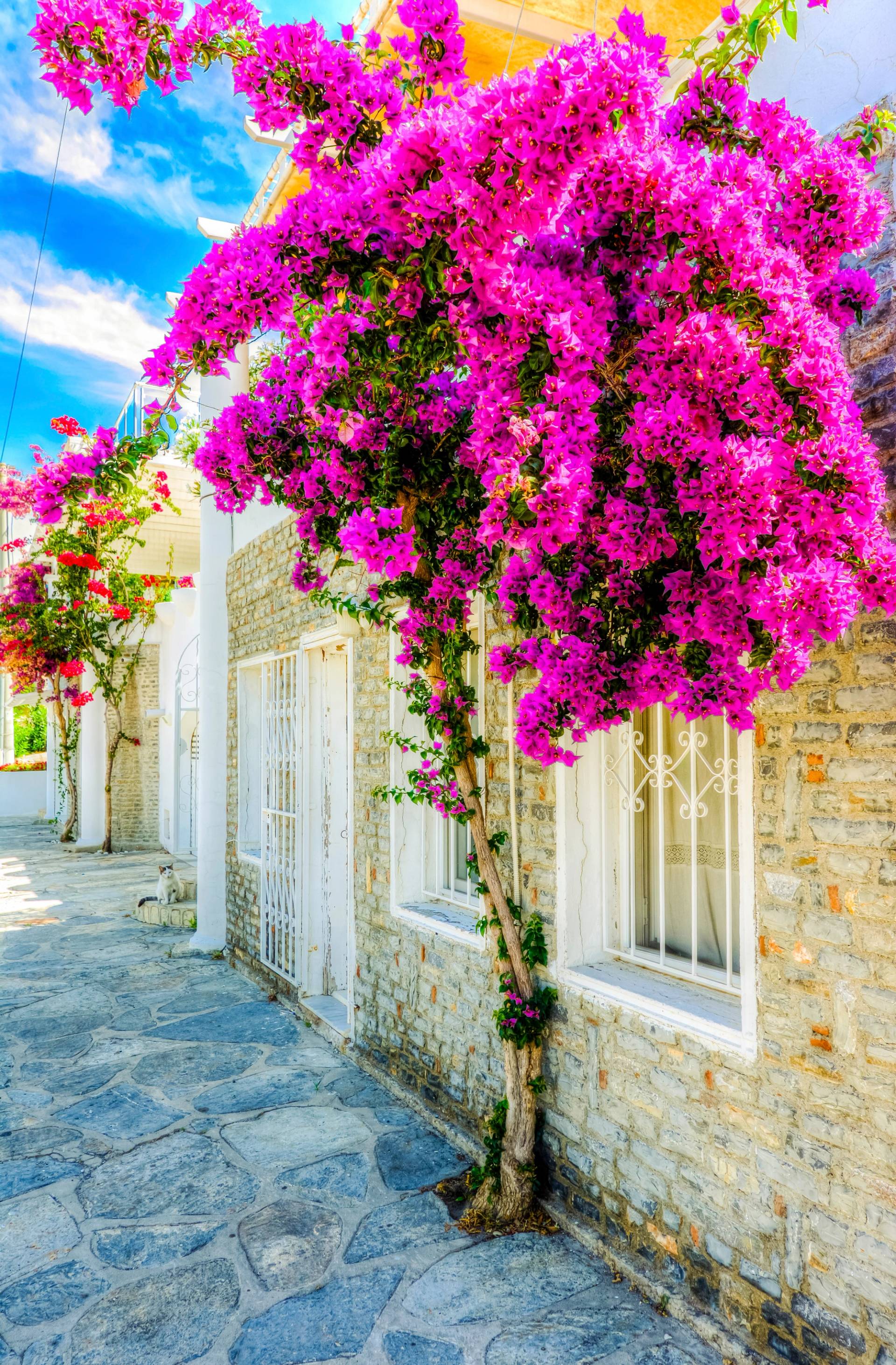 bodrum