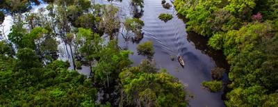 foresta pluviale in amazzonia