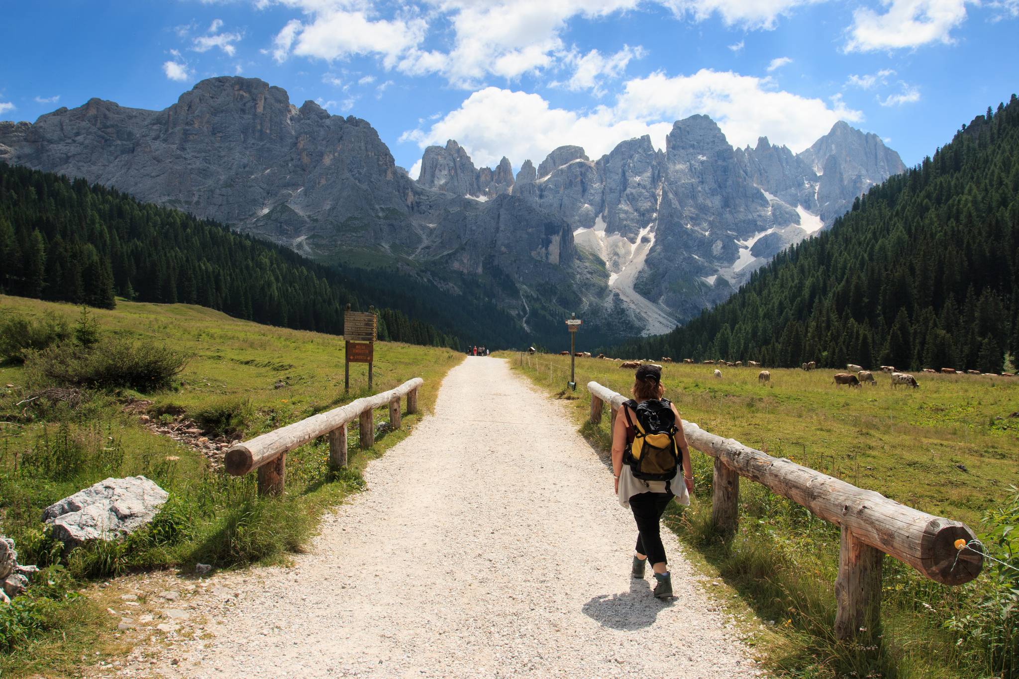 percorso trekking nel parco naturale di paneveggio