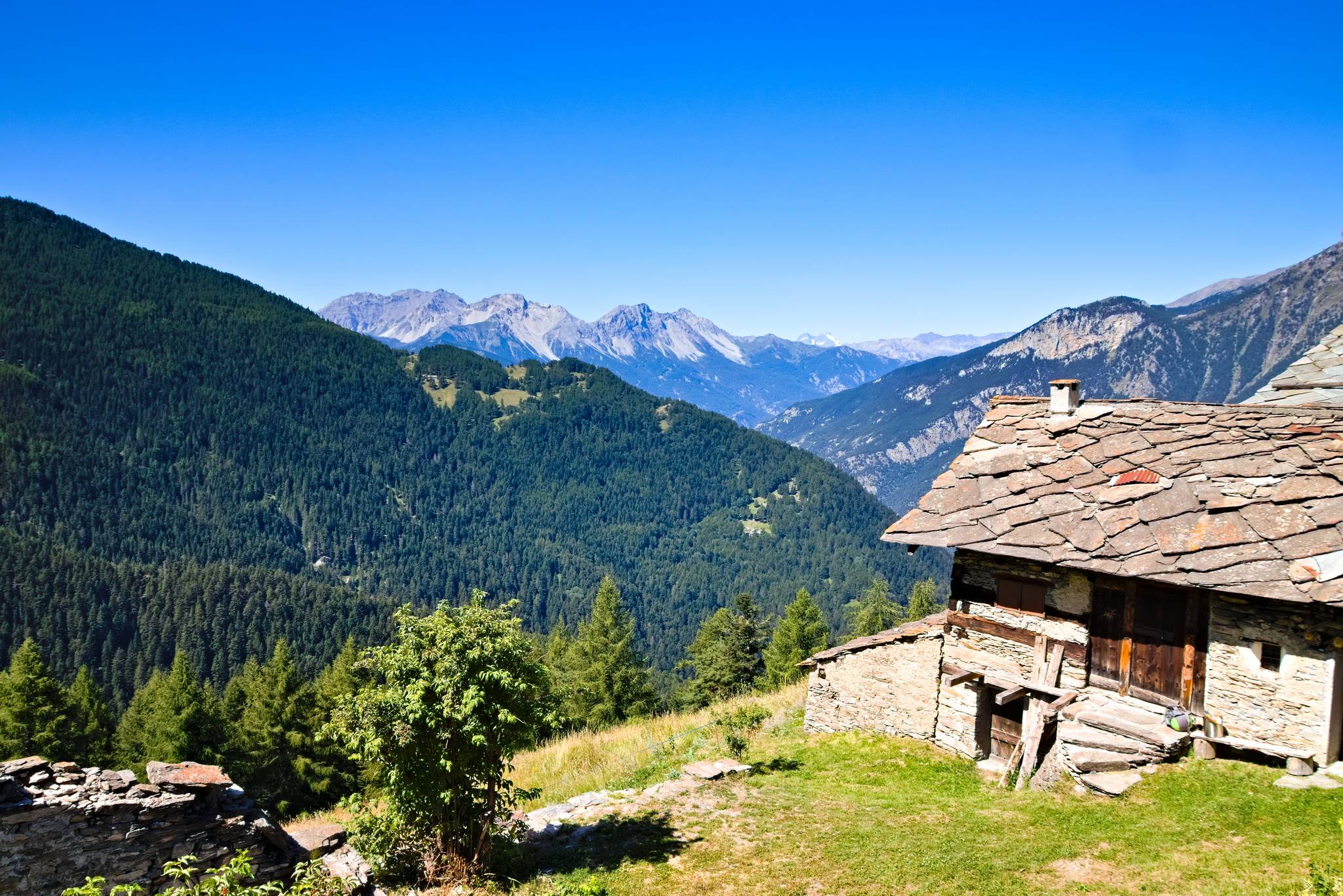 casetta nel gran bosco di salbertrand in piemonte