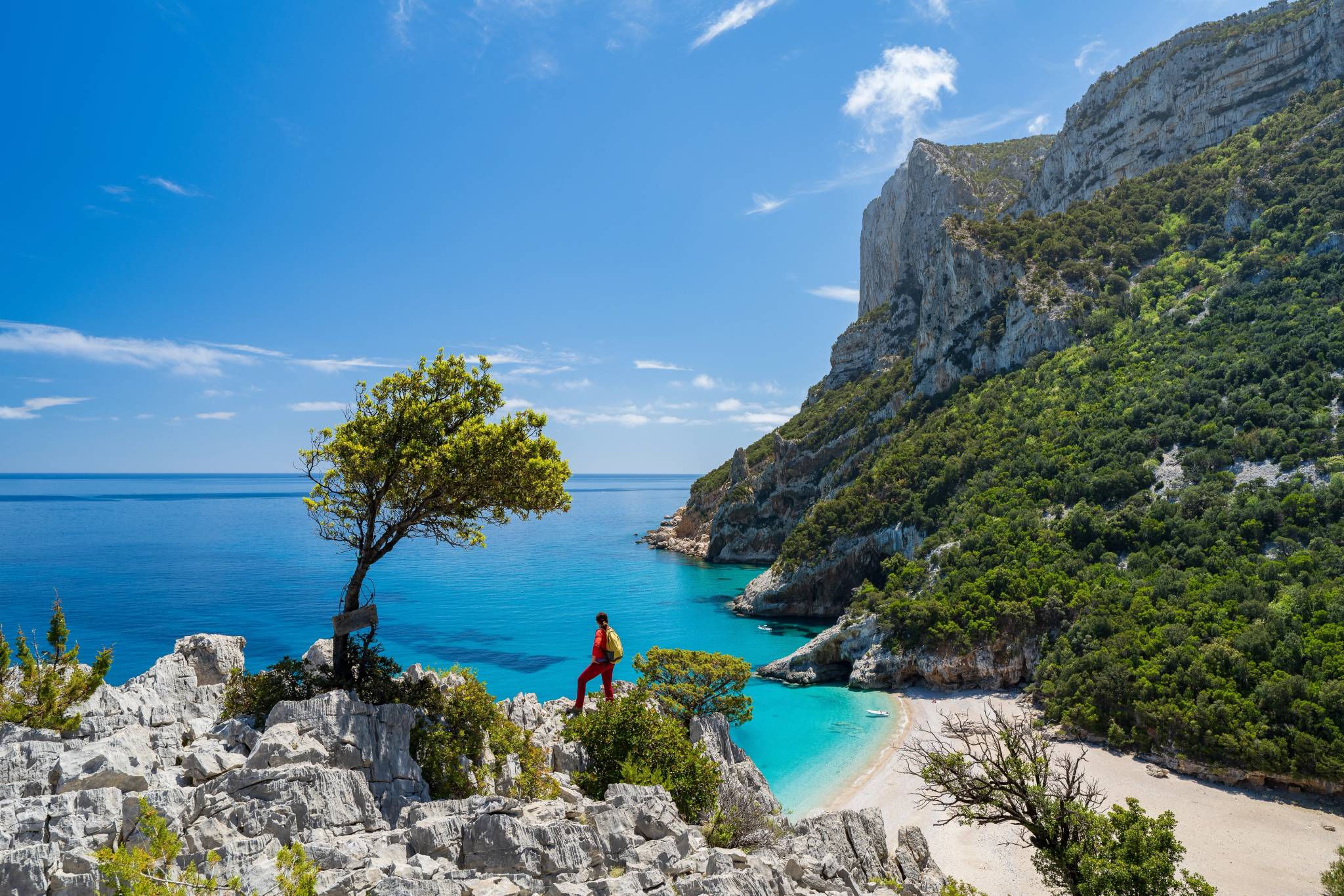 selvaggio blu sardegna