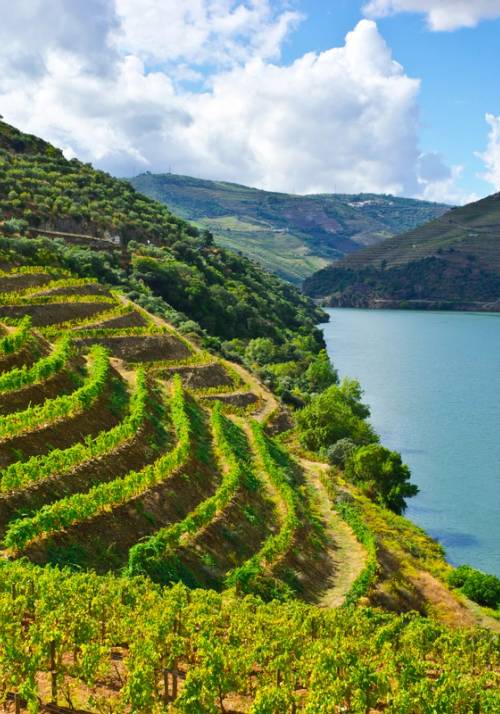 La Valle del Douro