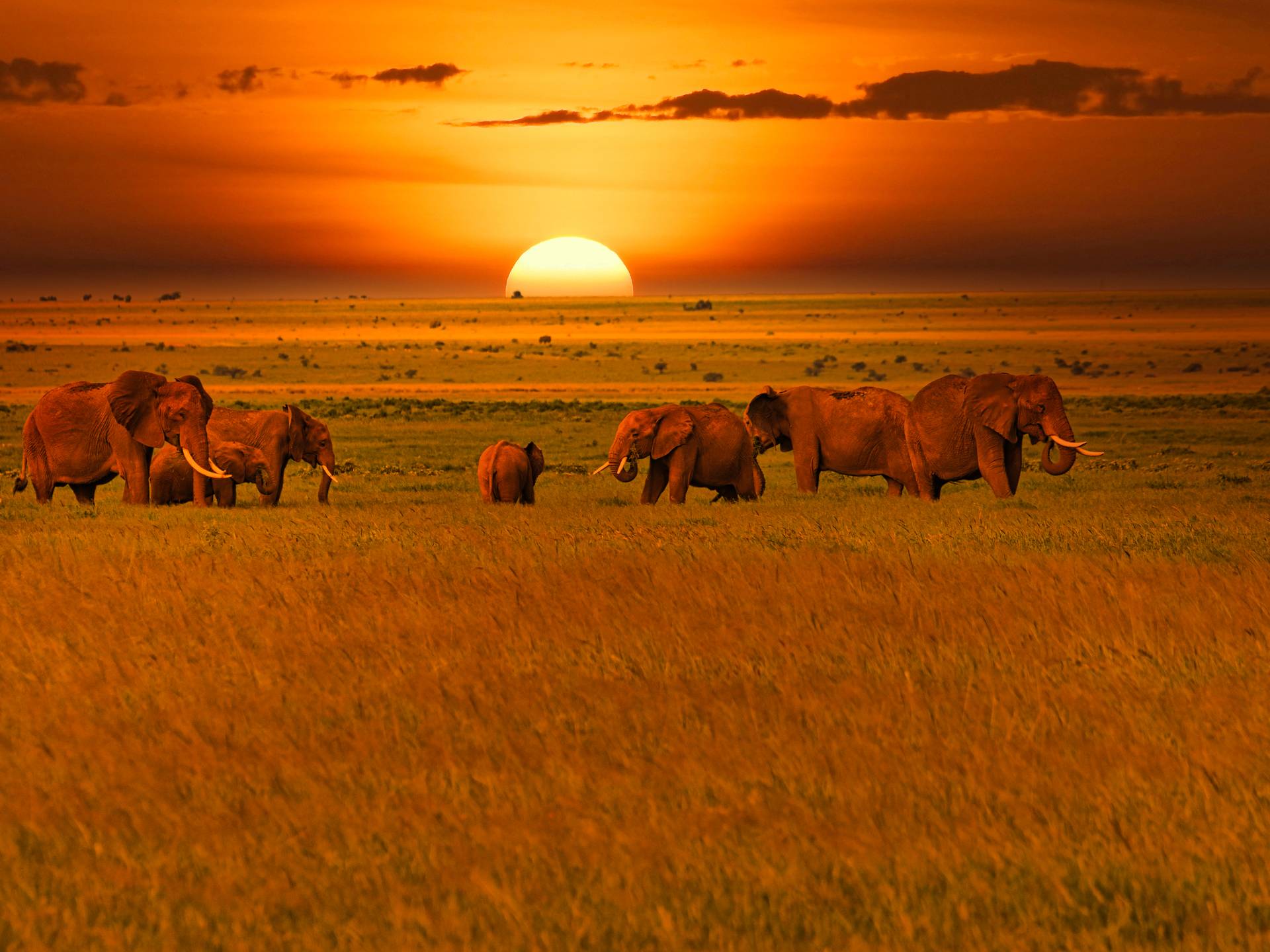 Kenya & Tanzania: cuore selvaggio d’Africa cover