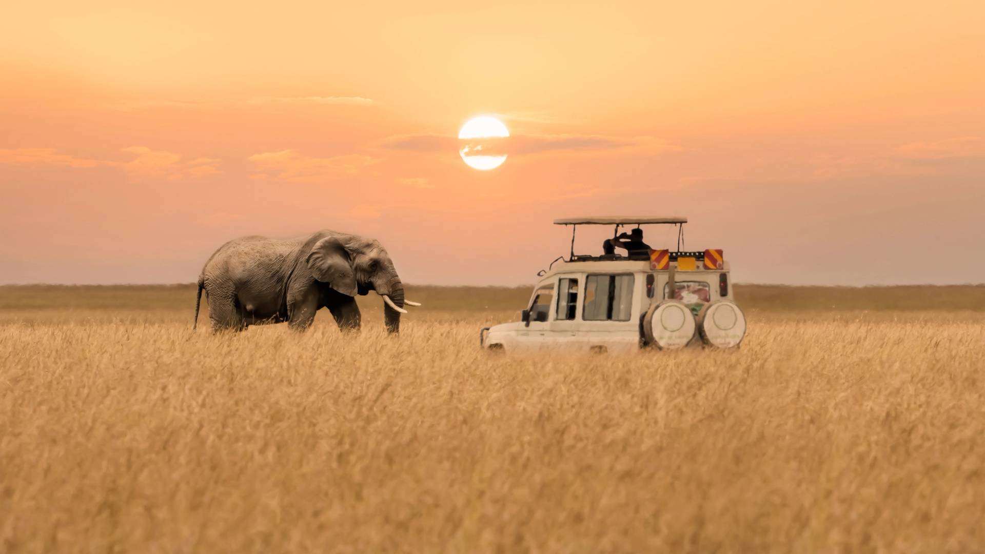 tsavo est