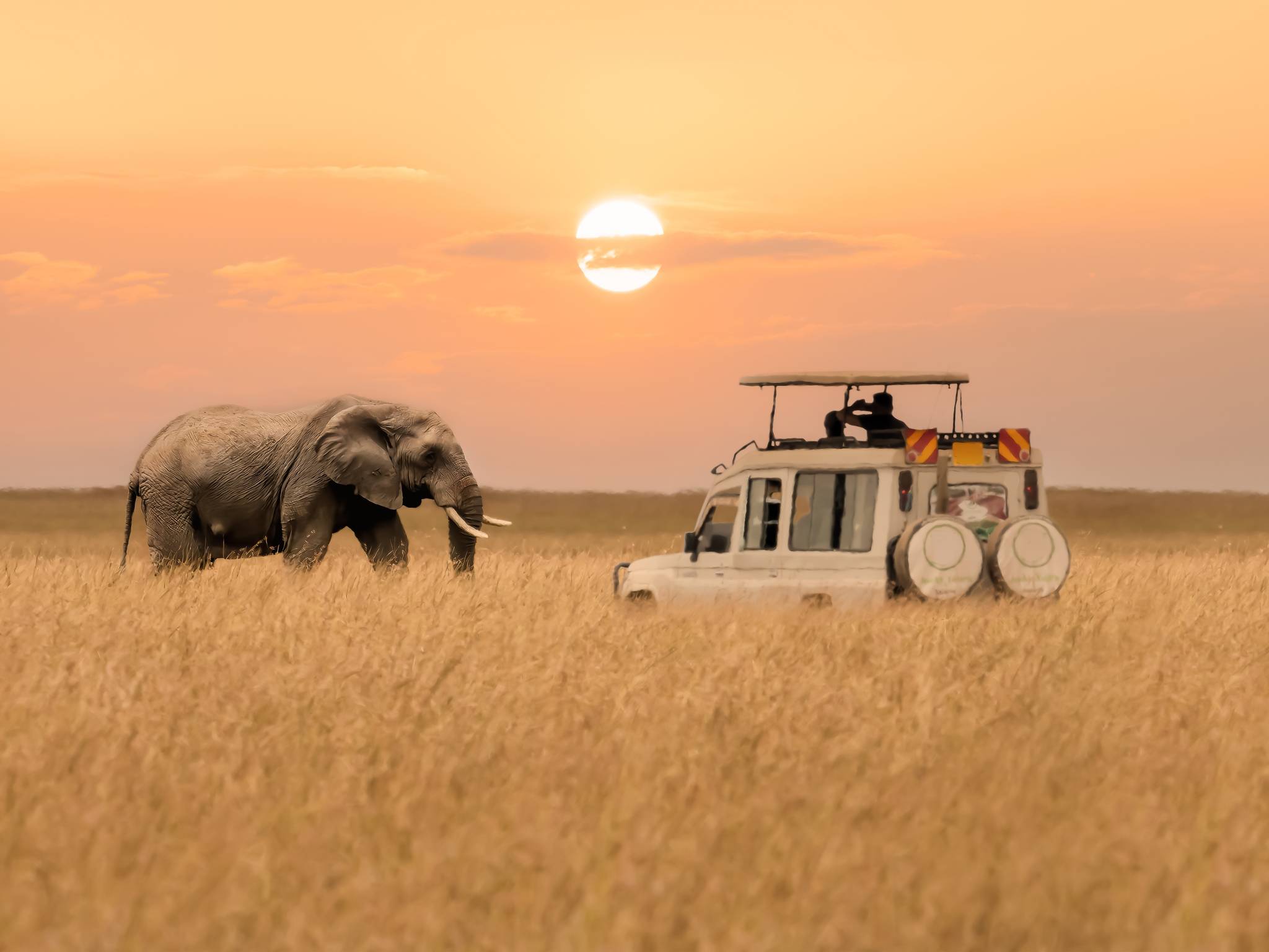 Glamping e safari in Kenya cover
