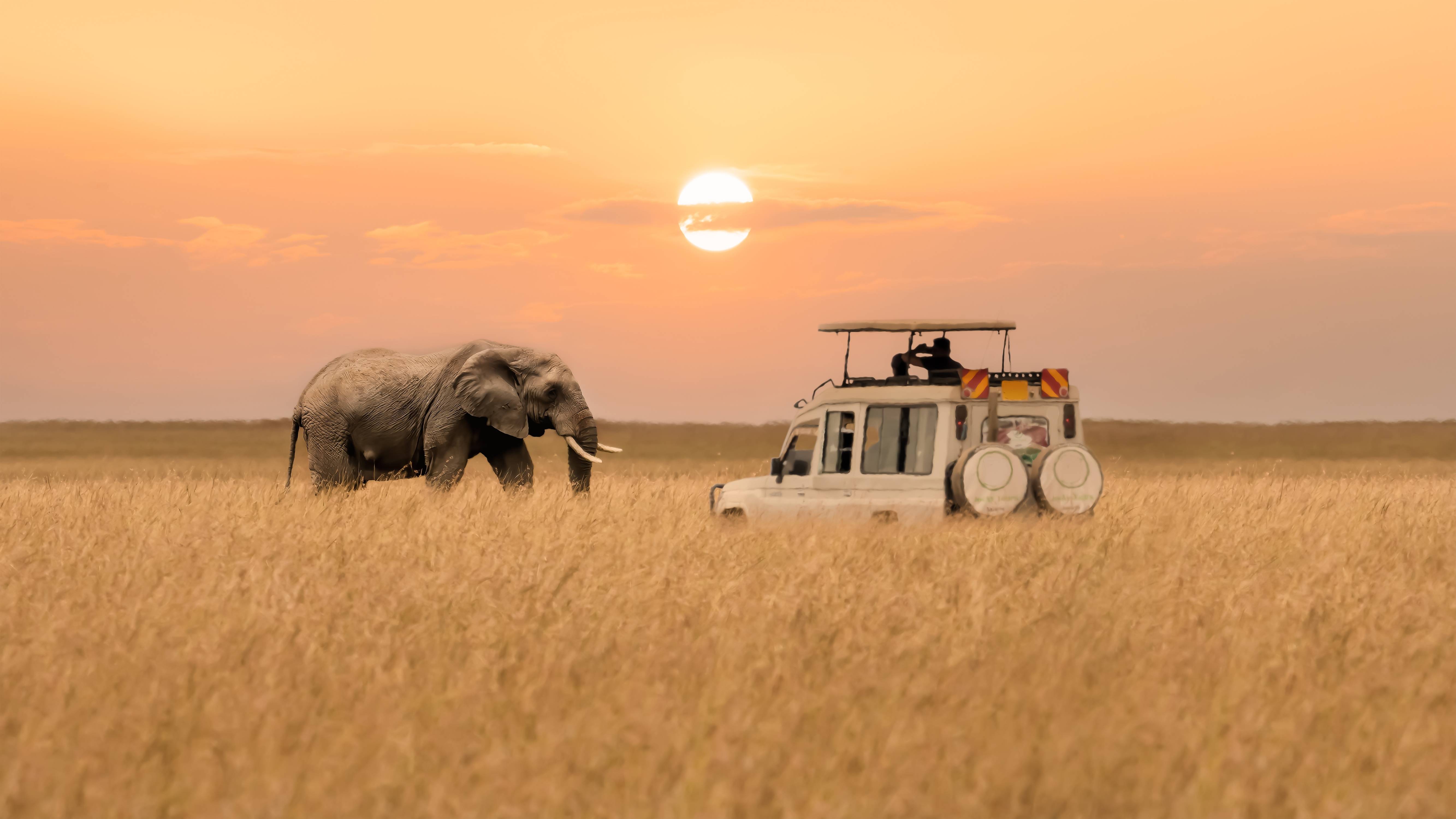 masai mara safari