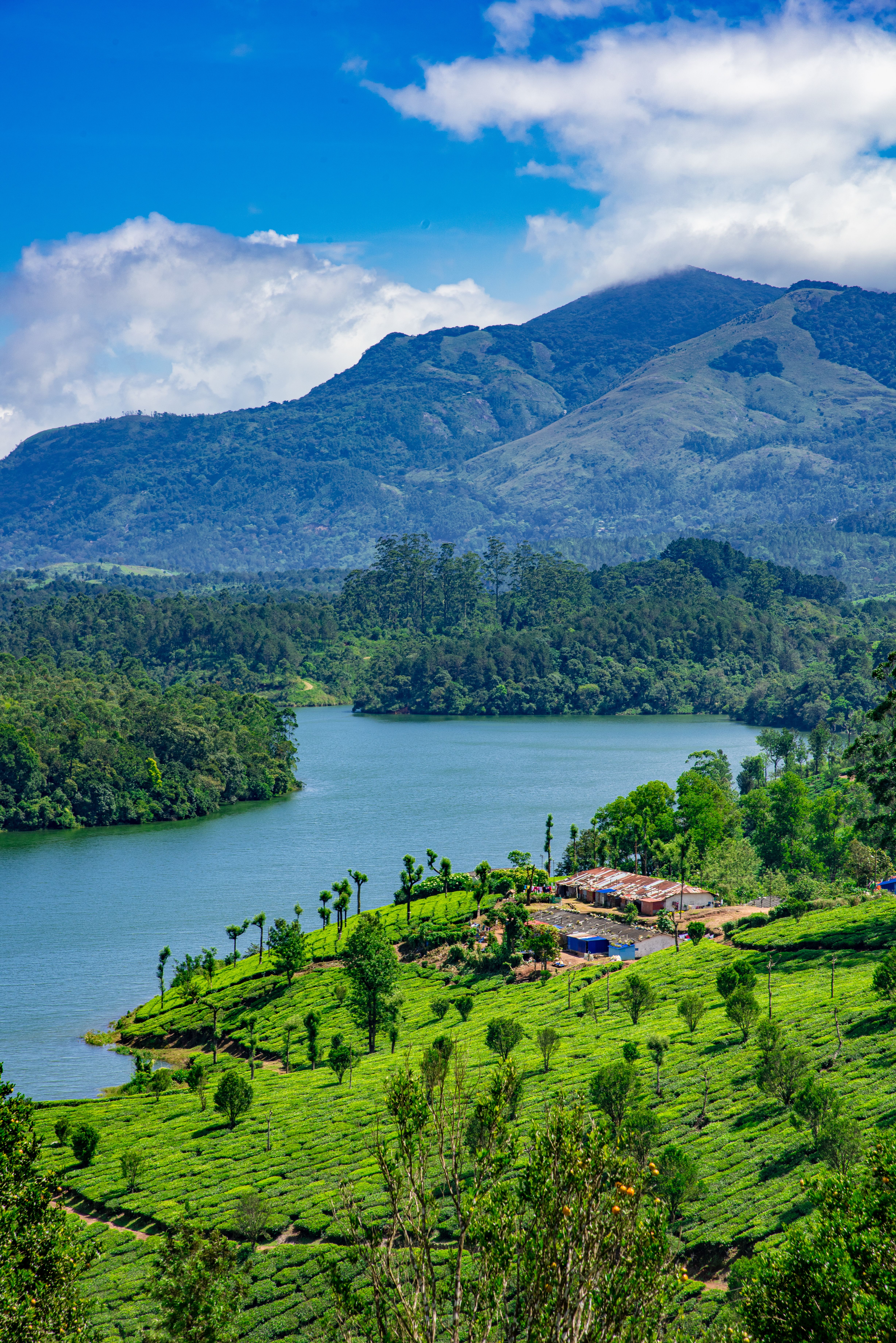 munnar