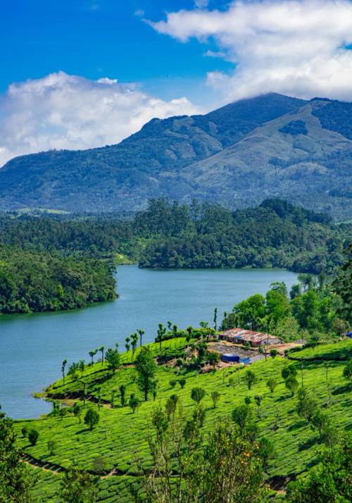 munnar