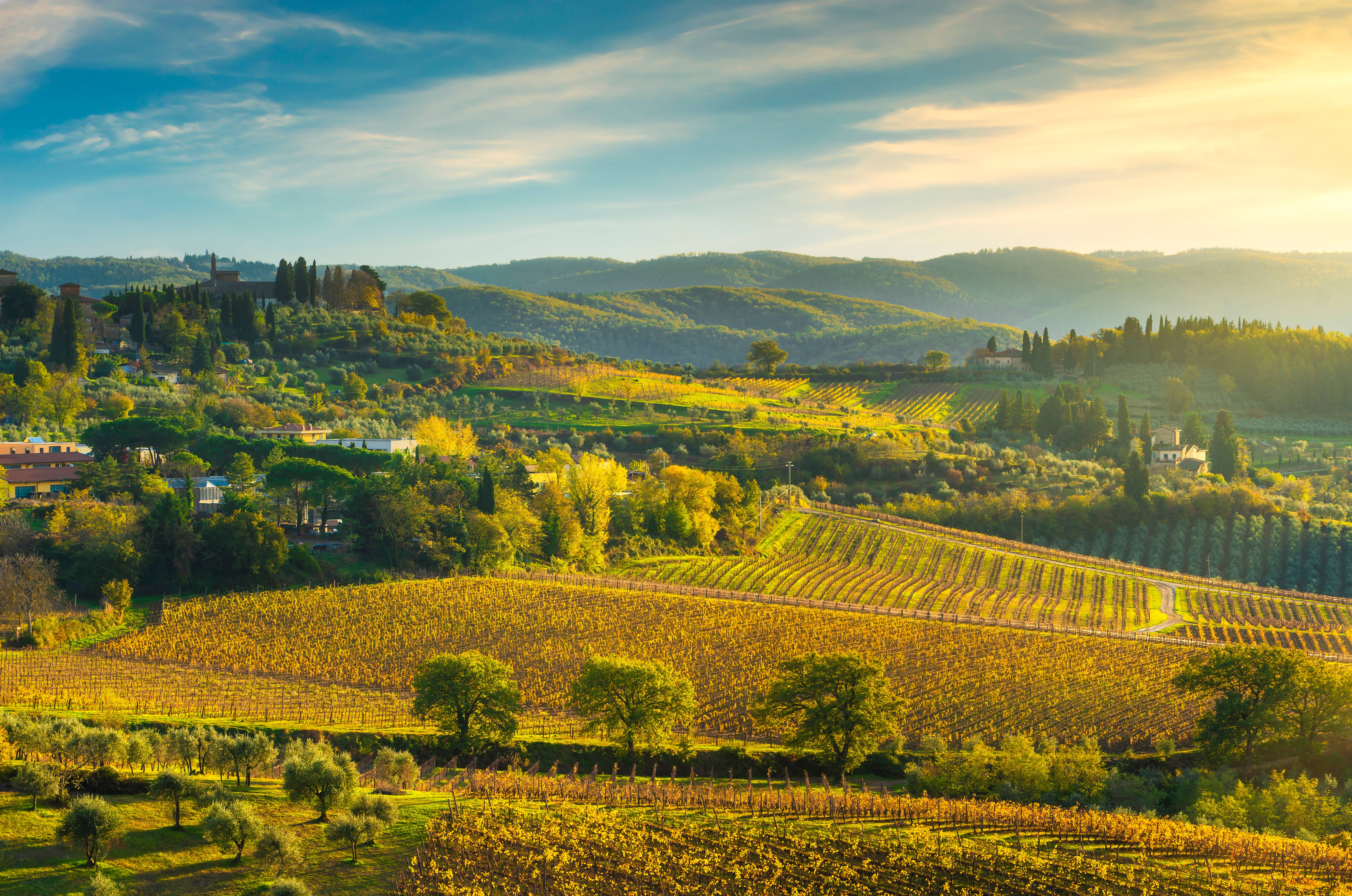 colline del chianti
