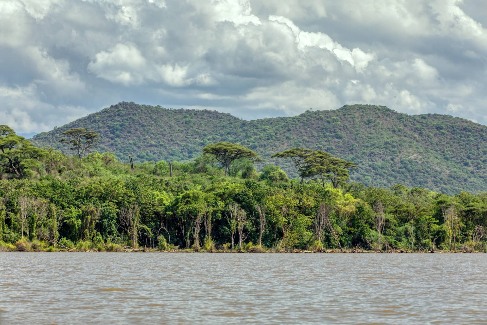 chamo Lake
