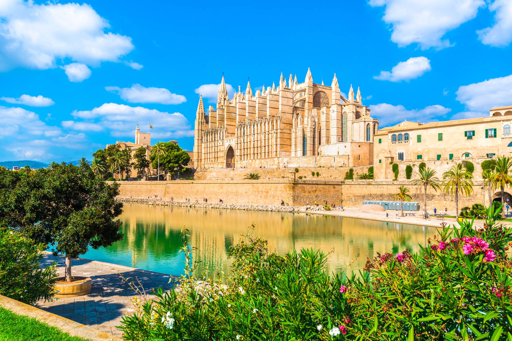 cattedrale di palma di maiorca