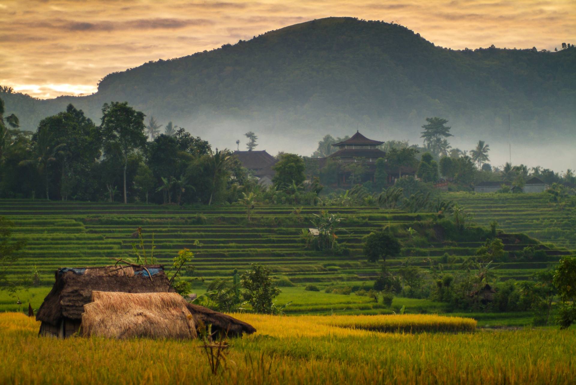 rural landscape