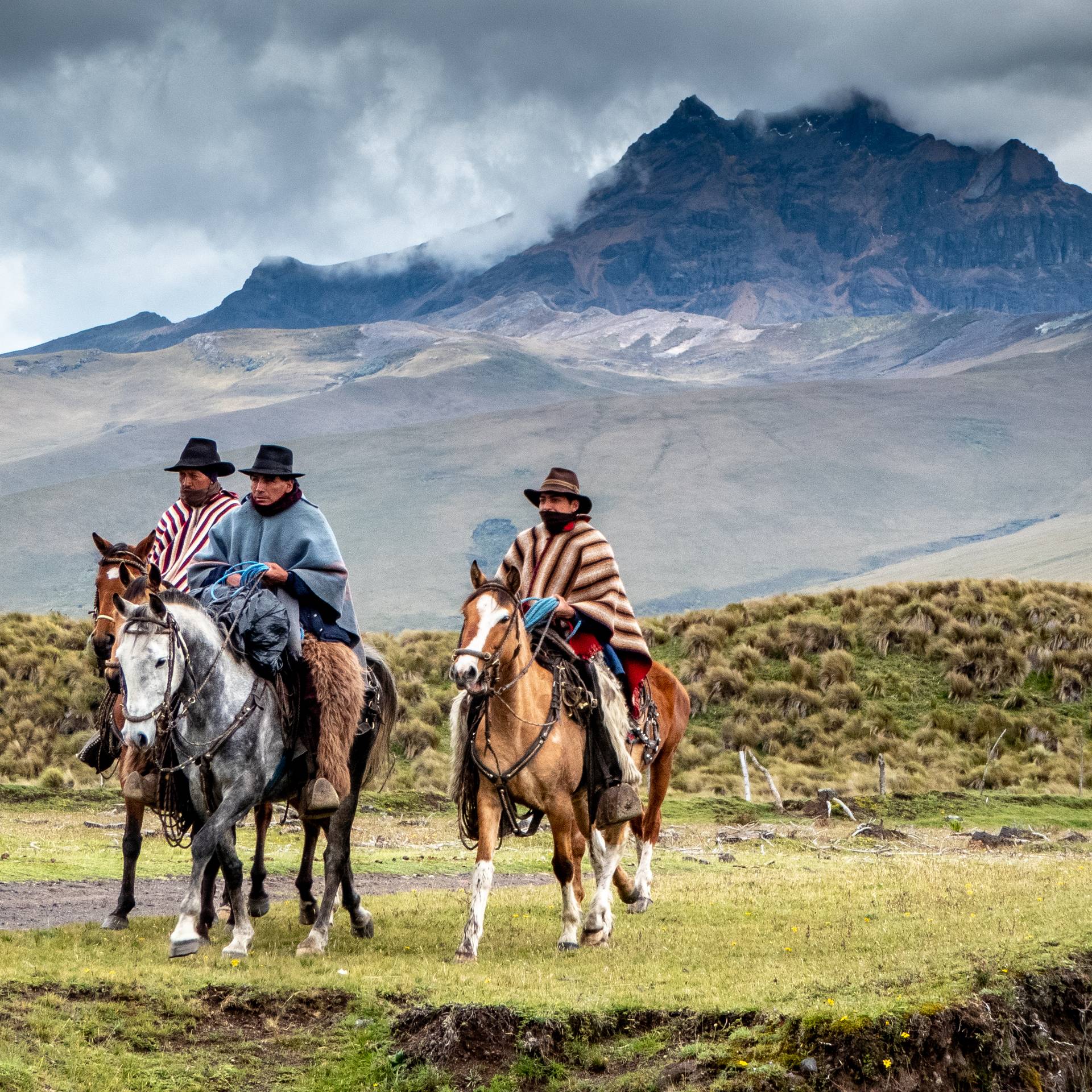 Tour dell'Ecuador