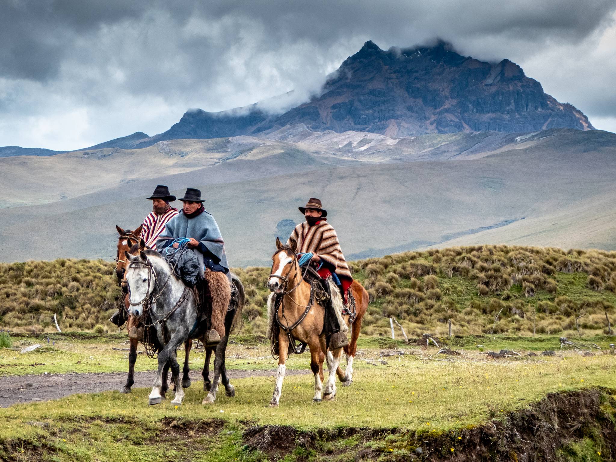 Tour dell'Ecuador cover