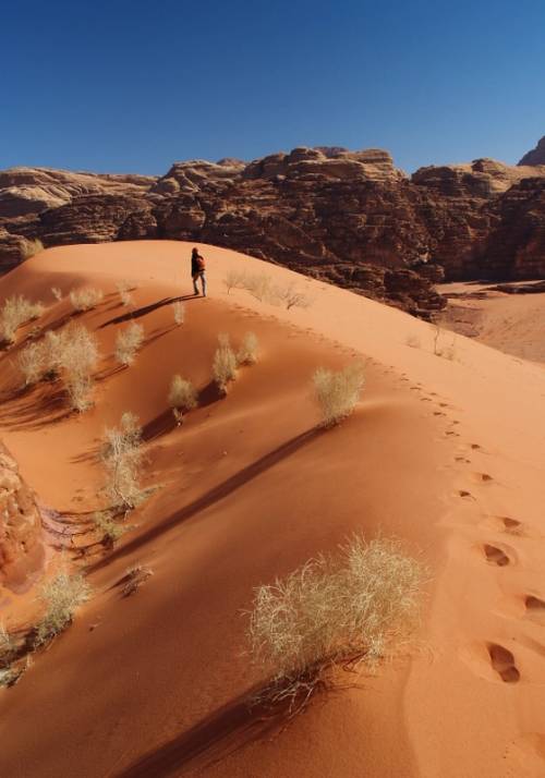 wadi rum