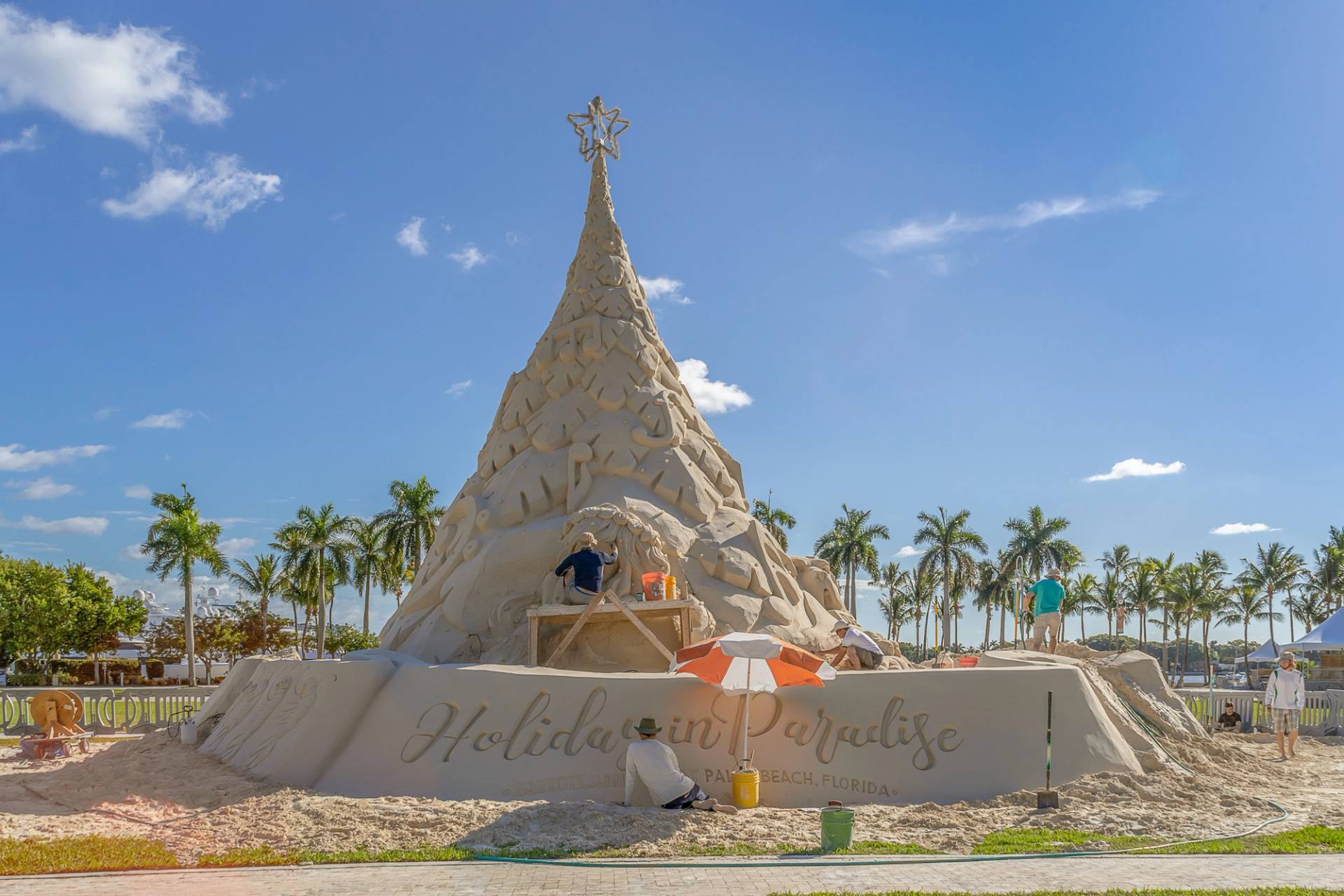 albero di sabbia west palm beach florida stati uniti