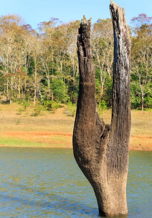 periyar