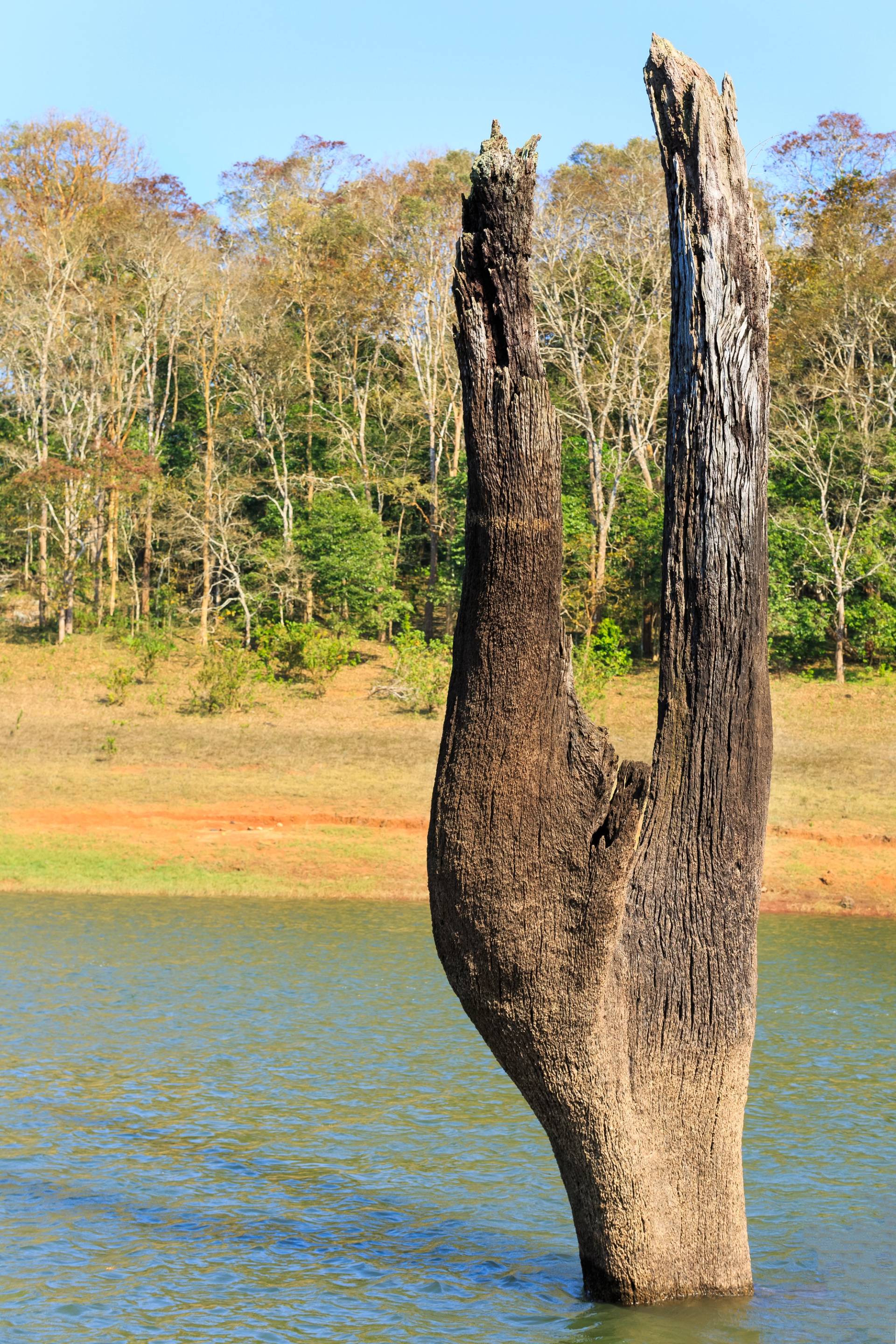 periyar