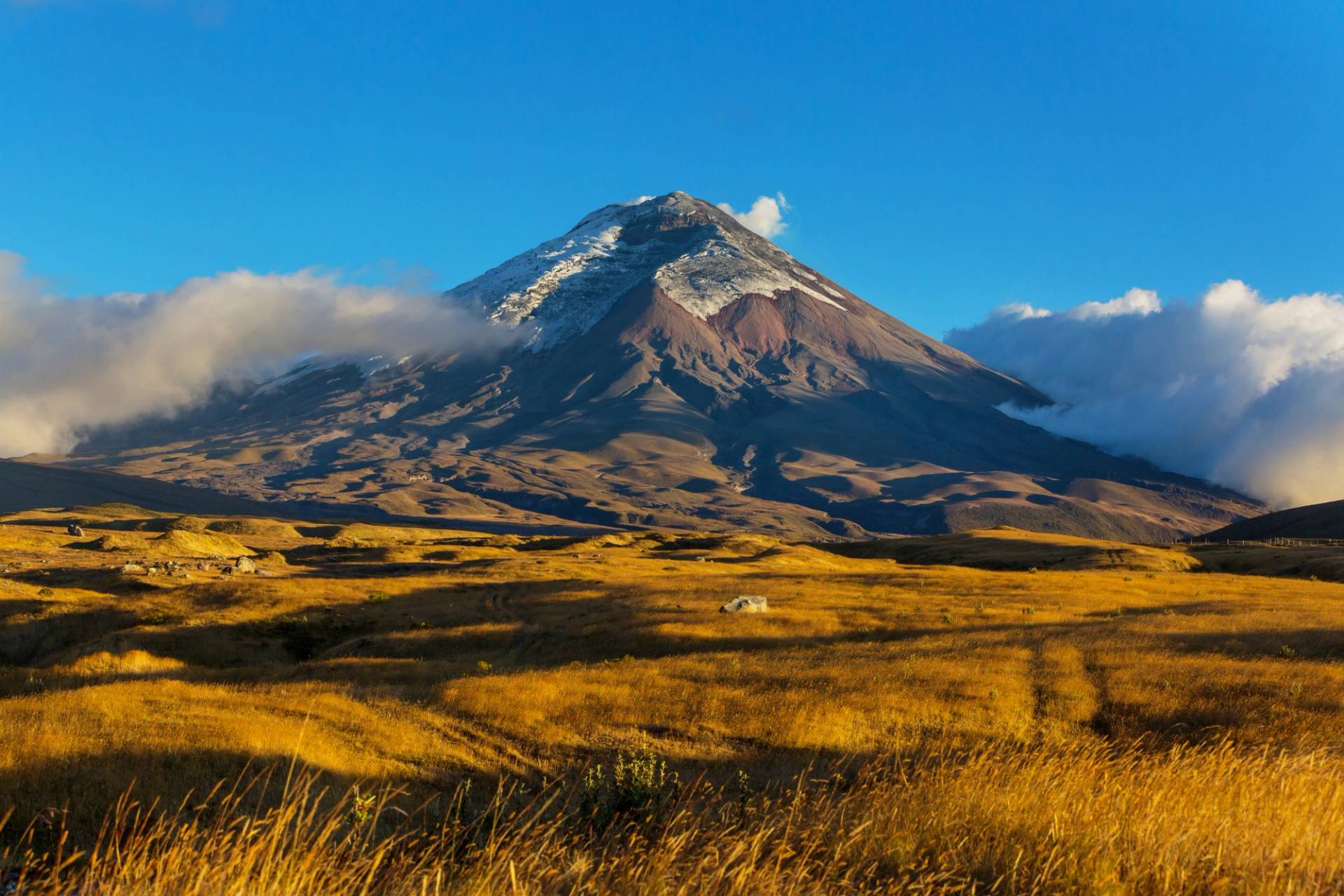 cotopaxi