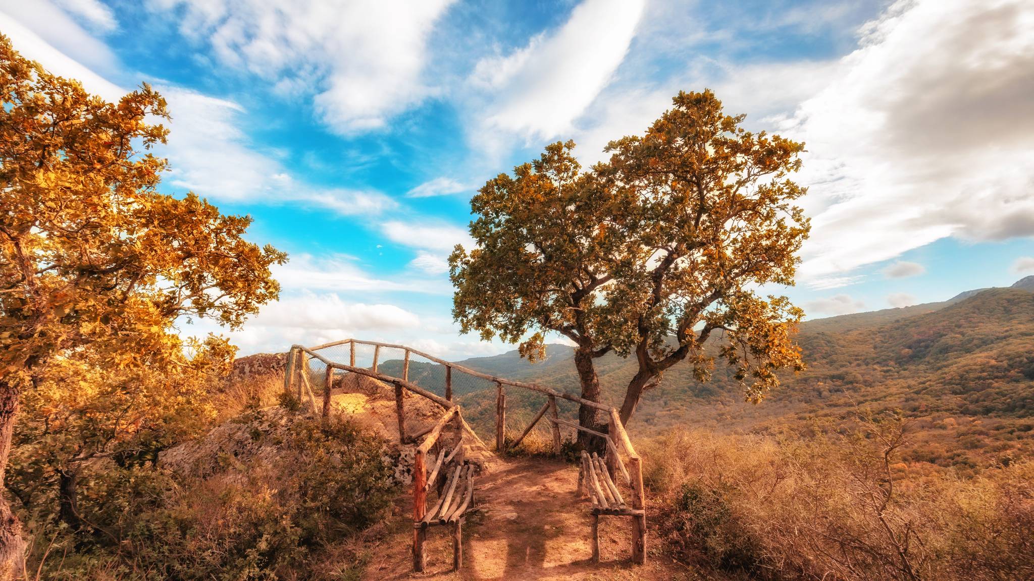 salita al bosco di ficuzza in sicilia