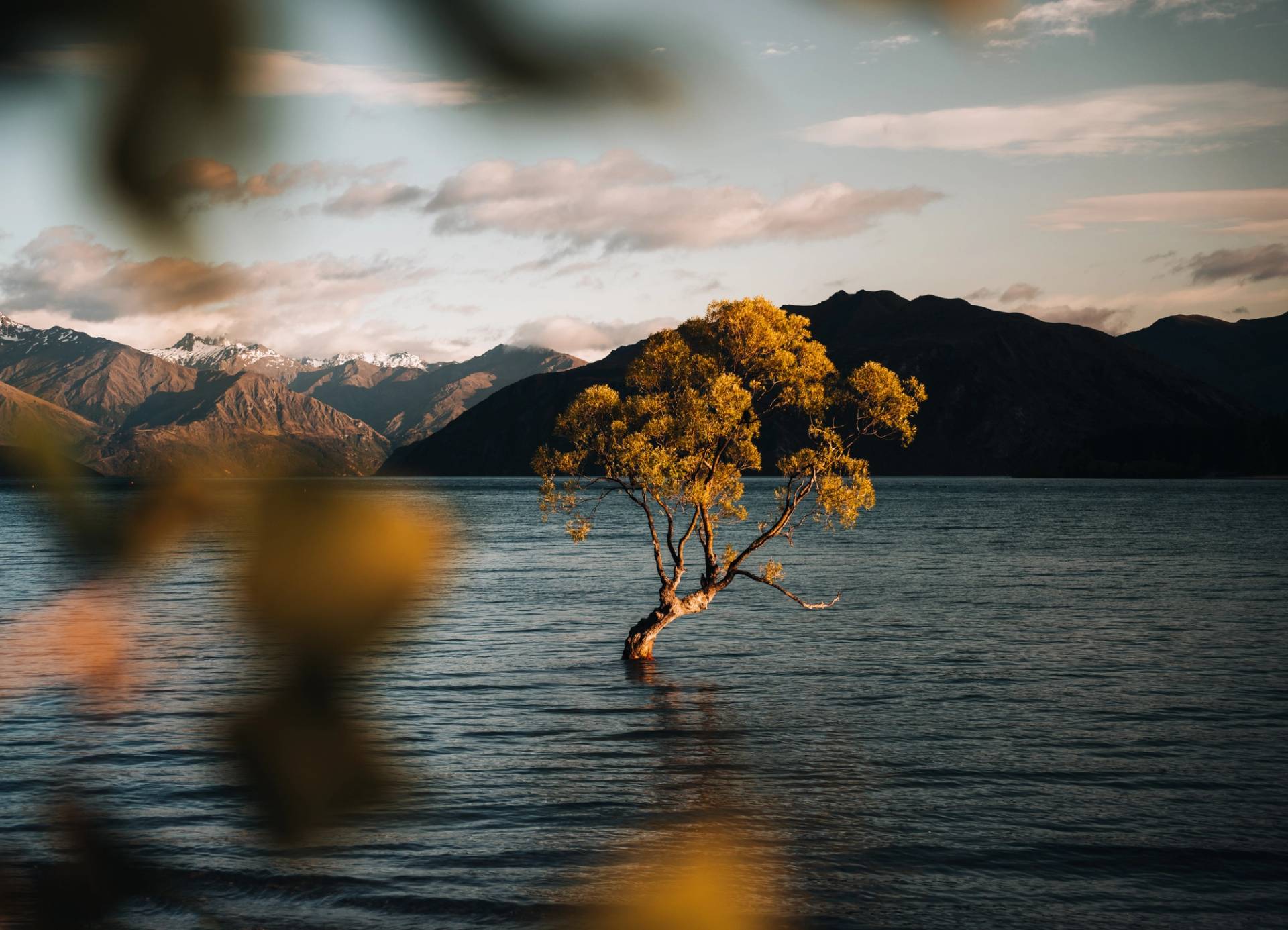 wanaka